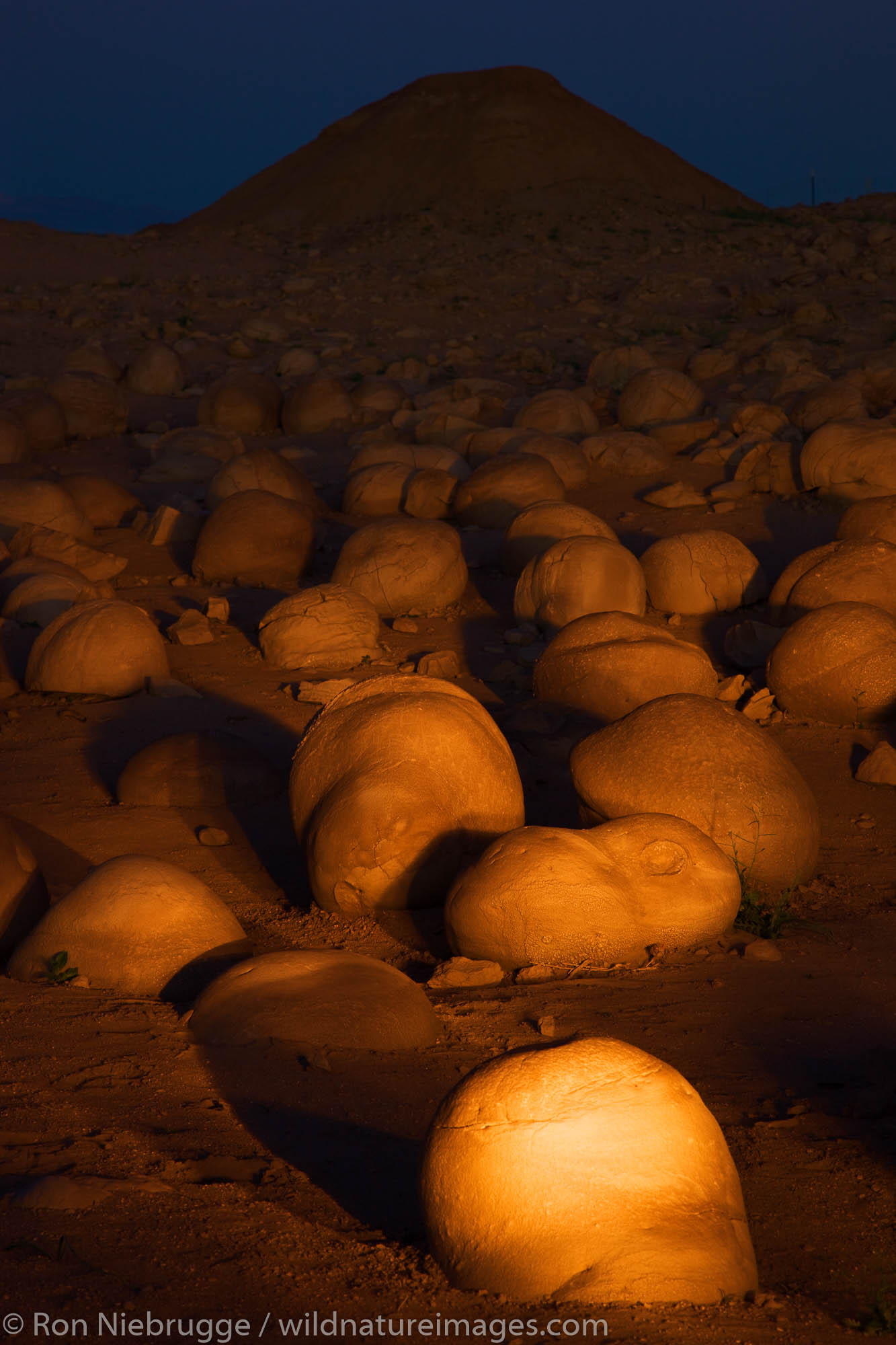 The Pumpkin Patch at night lit by flashlight, Anza-Borrego Desert State Park, California.