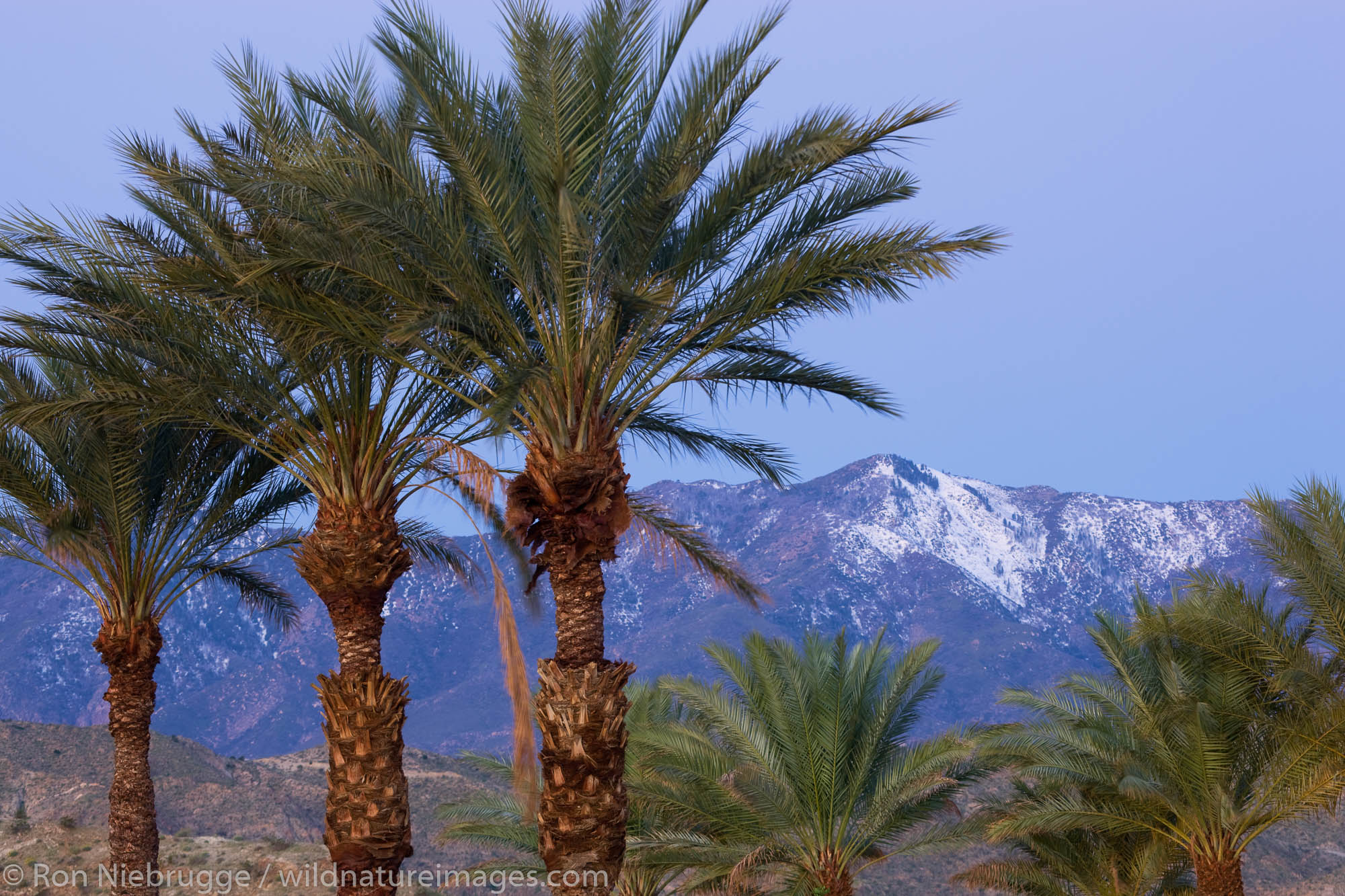 San Jacinto Mountains, Rancho Mirage, California.