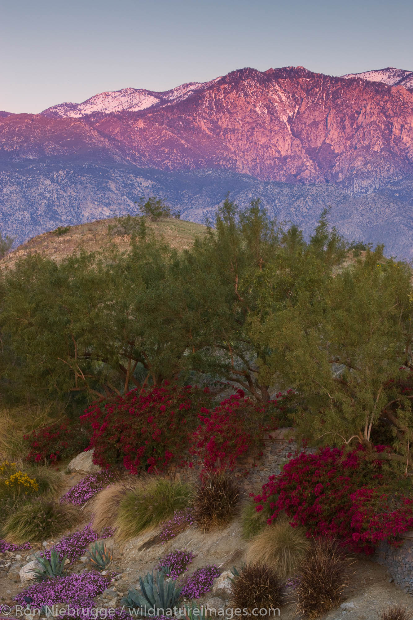 San Jacinto Mountains, Rancho Mirage, California.