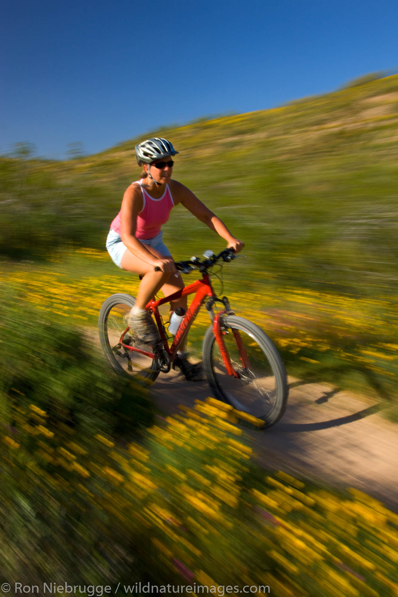 Mountain biking in McDowell Mountain Regional Park, near Fountain Hills, outside of Phoenix, Arizona.  (model released)