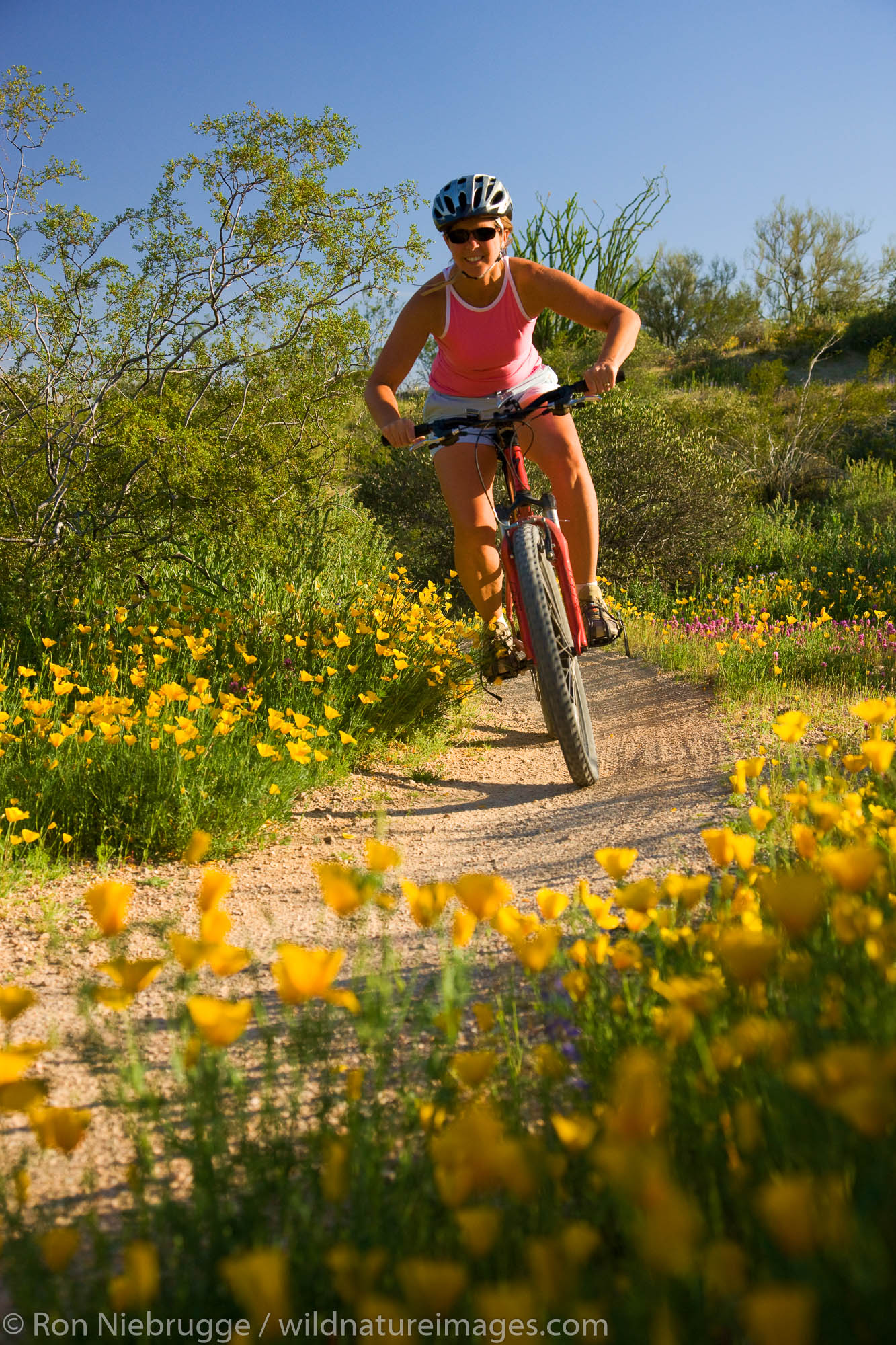 Mountain biking in McDowell Mountain Regional Park, near Fountain Hills, outside of Phoenix, Arizona.  (model released)