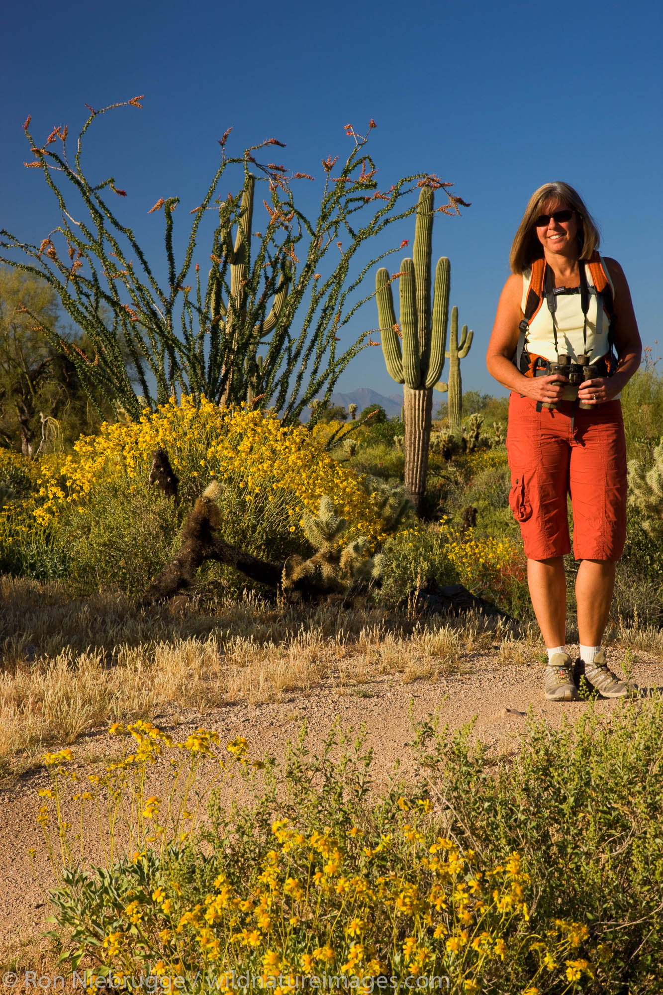 A visitor hiking in McDowell Mountain Regional Park, near Fountain Hills, outside of Phoenix, Arizona.  (model released)