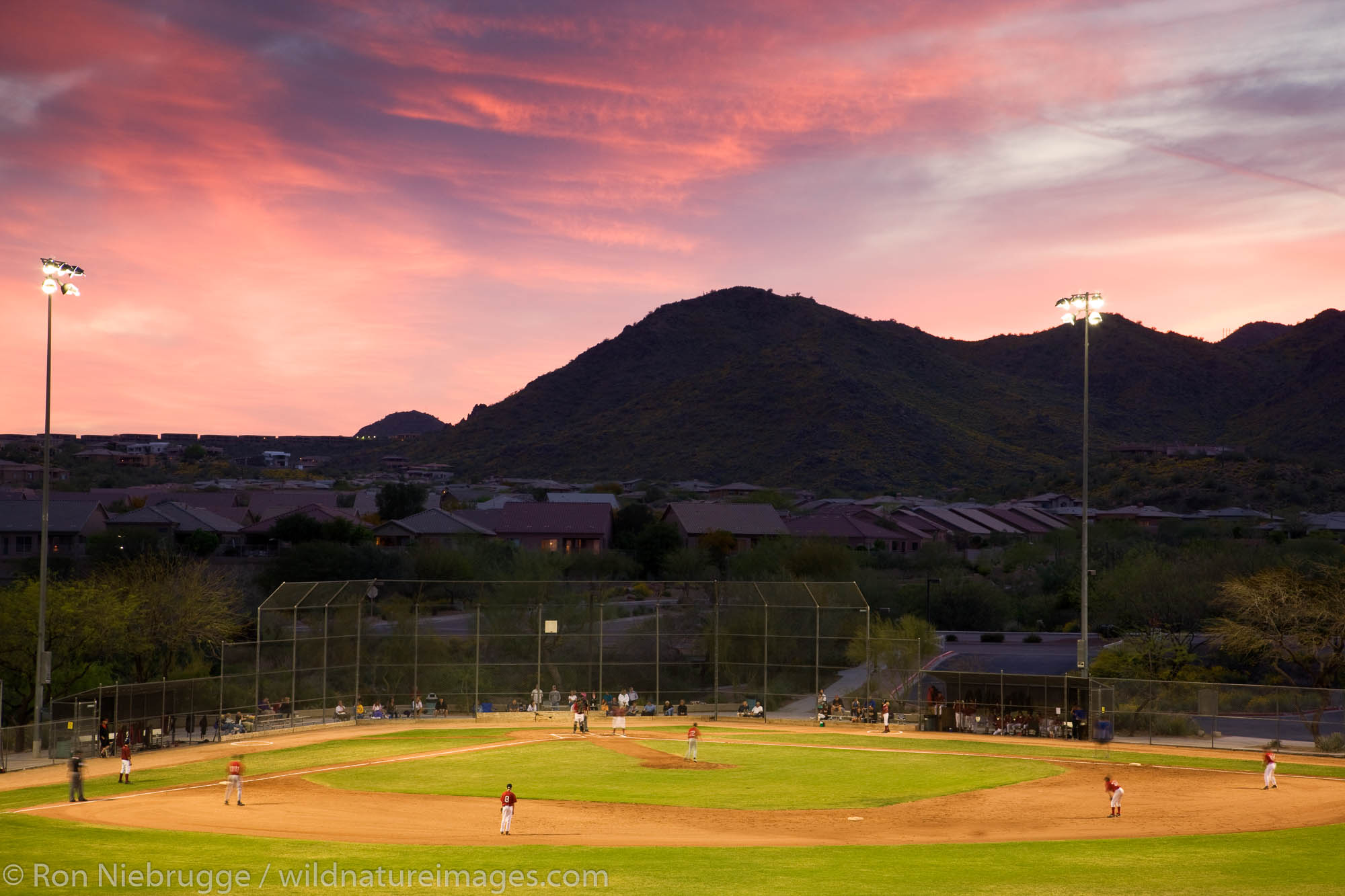 Baseball fields Fountain Hills, outside of Phoenix, Arizona.