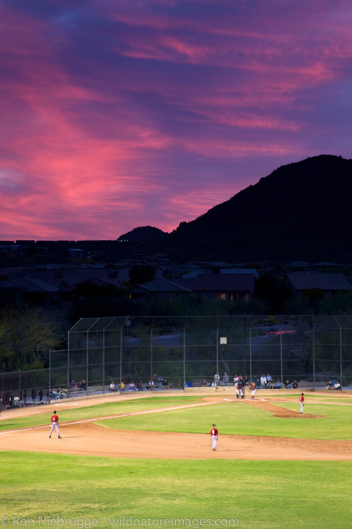 Baseball fields Fountain Hills, outside of Phoenix, Arizona.