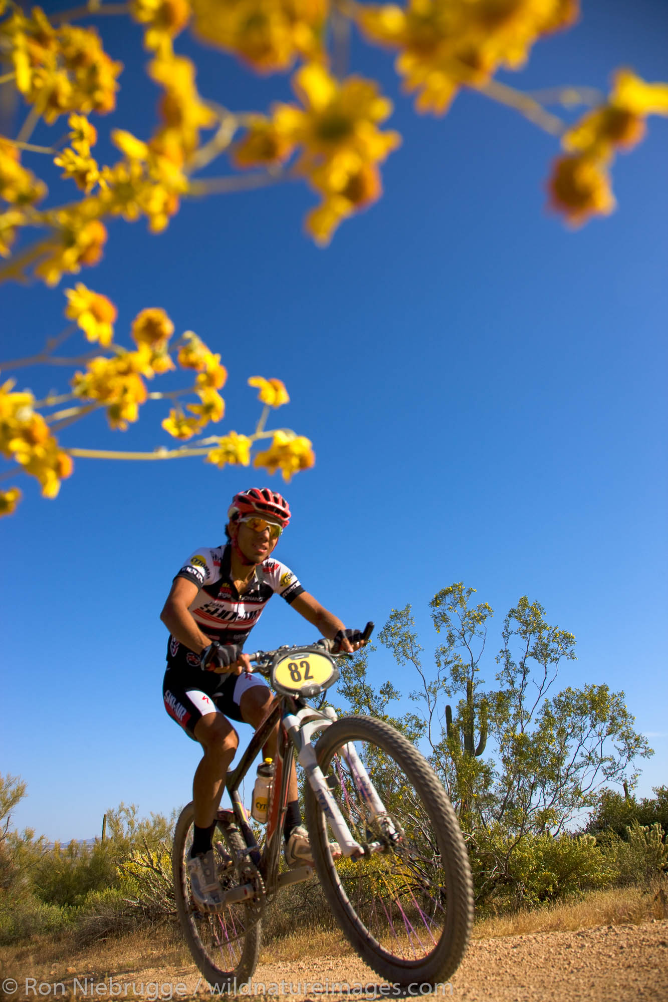The 2008 Pro Mens Kenda Cross Country race as part of the National Mountain Bike Series Races at McDowell Mountain Regional Park...