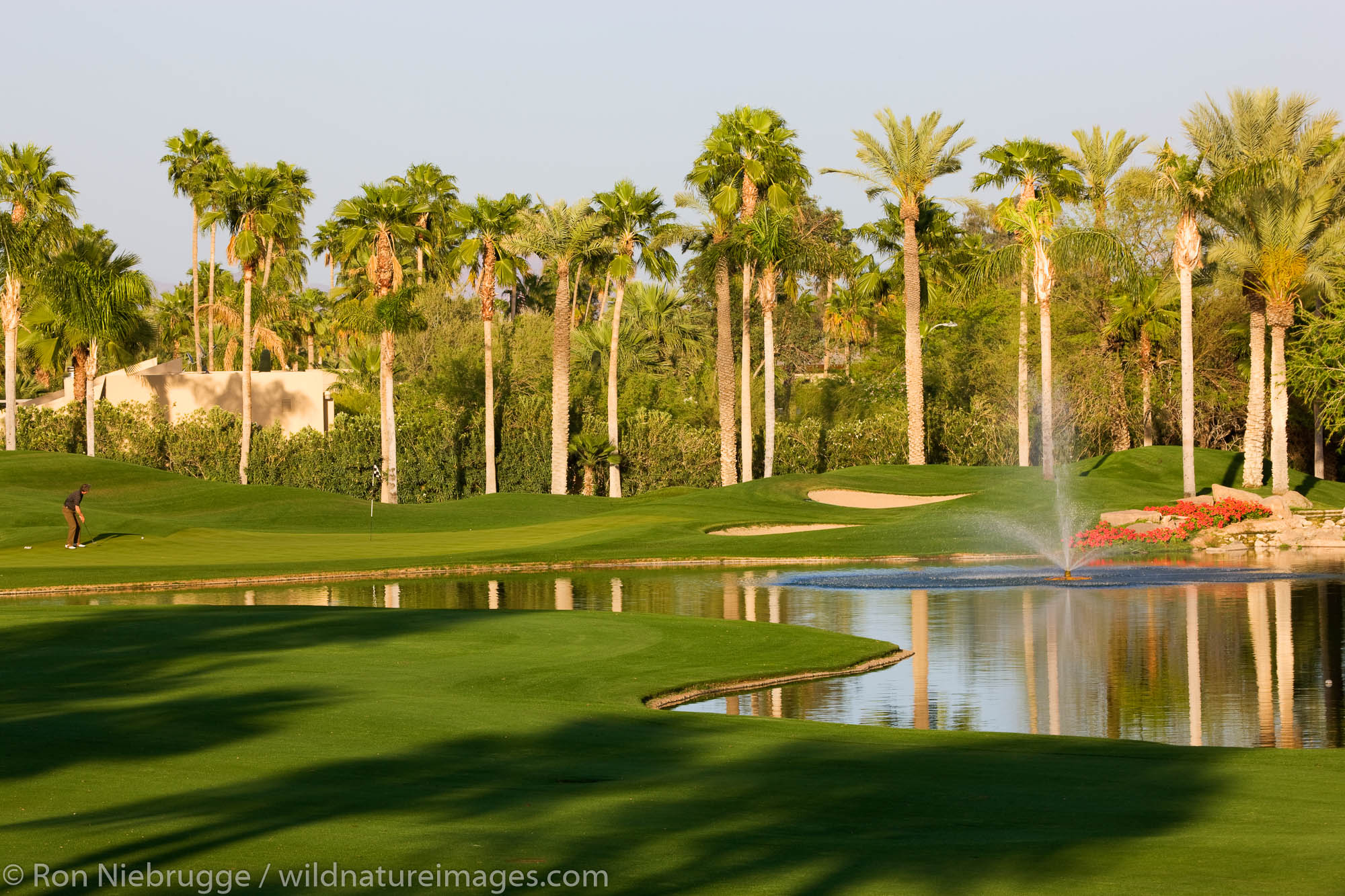 The 9th hole on the Canyon Golf Course at the Phoenician Resort in Scottsdale, Arizona.