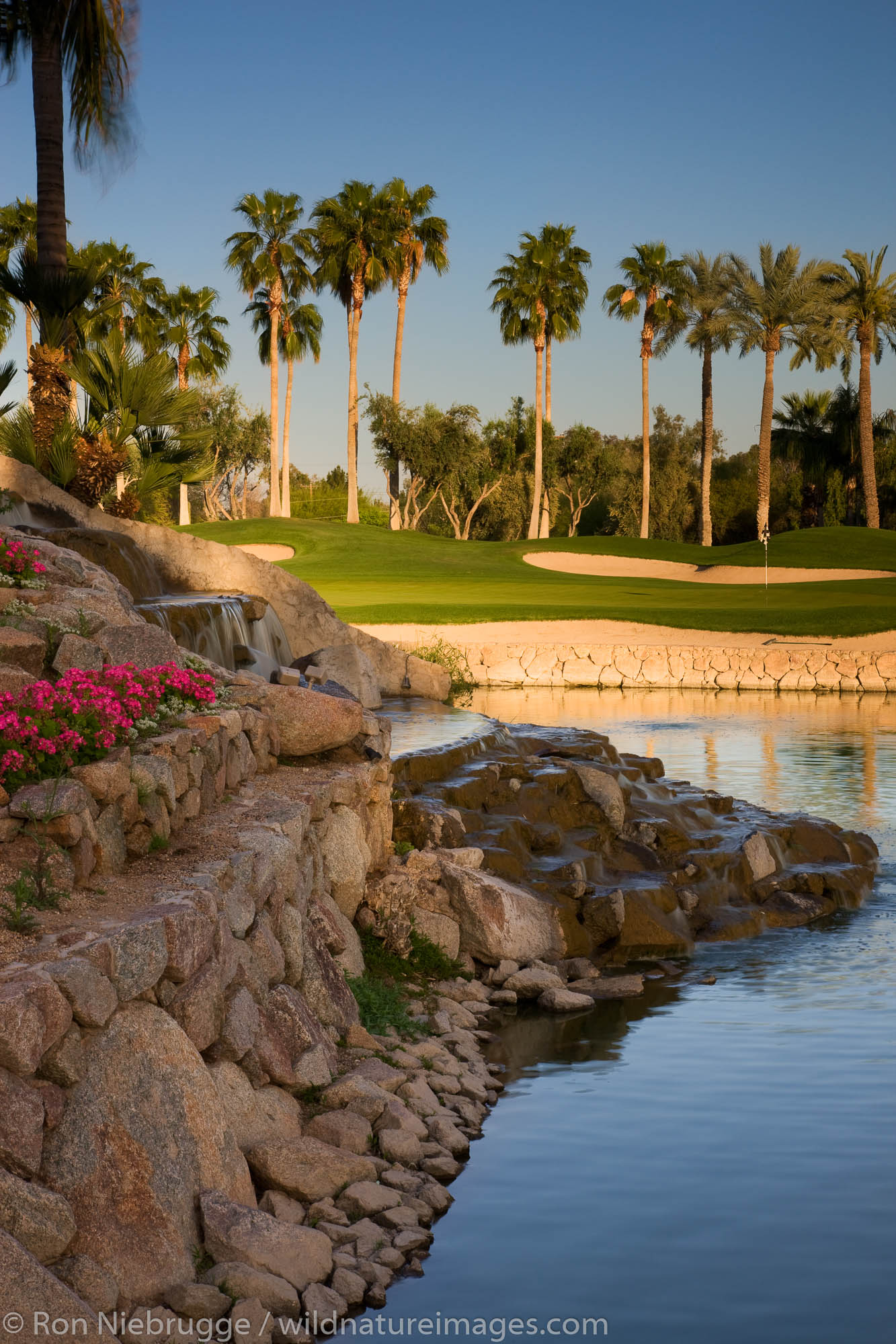 The 8th hole on the Canyon Golf Course at the Phoenician Resort in Scottsdale, Arizona.