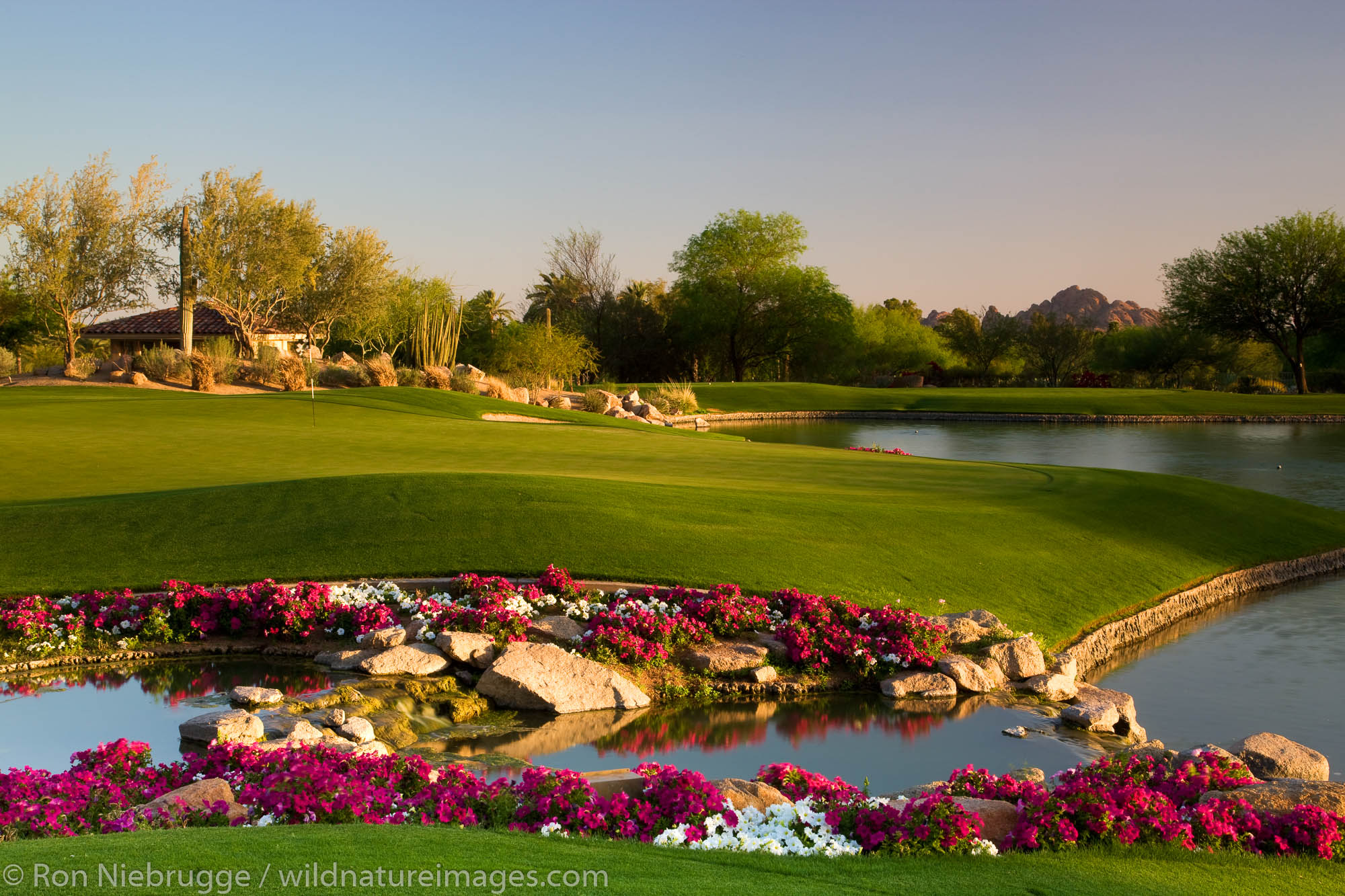 The 7th hole on the Canyon Golf Course at the Phoenician Resort in Scottsdale, Arizona.