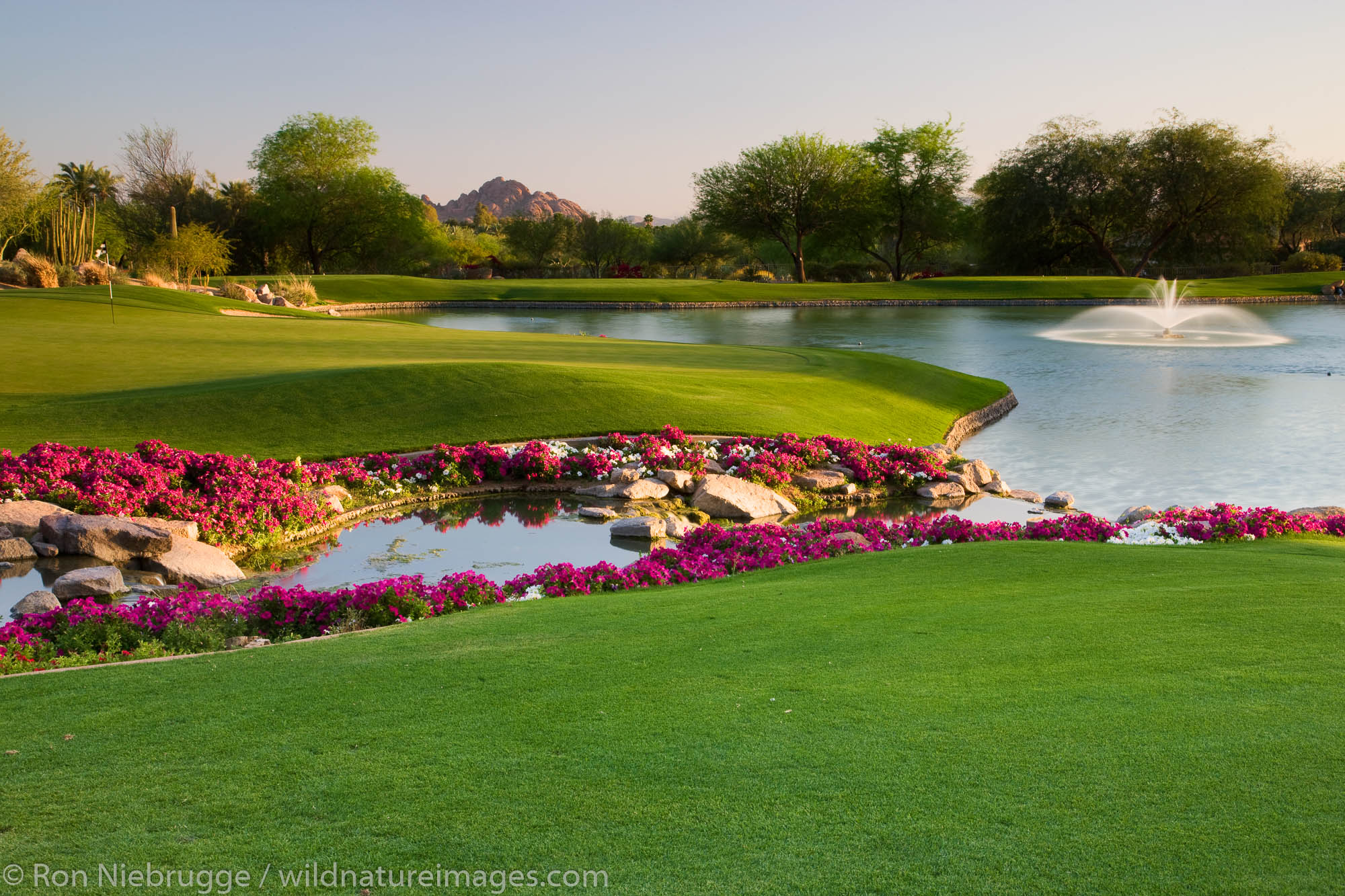 The 7th hole on the Canyon Golf Course at the Phoenician Resort in Scottsdale, Arizona.