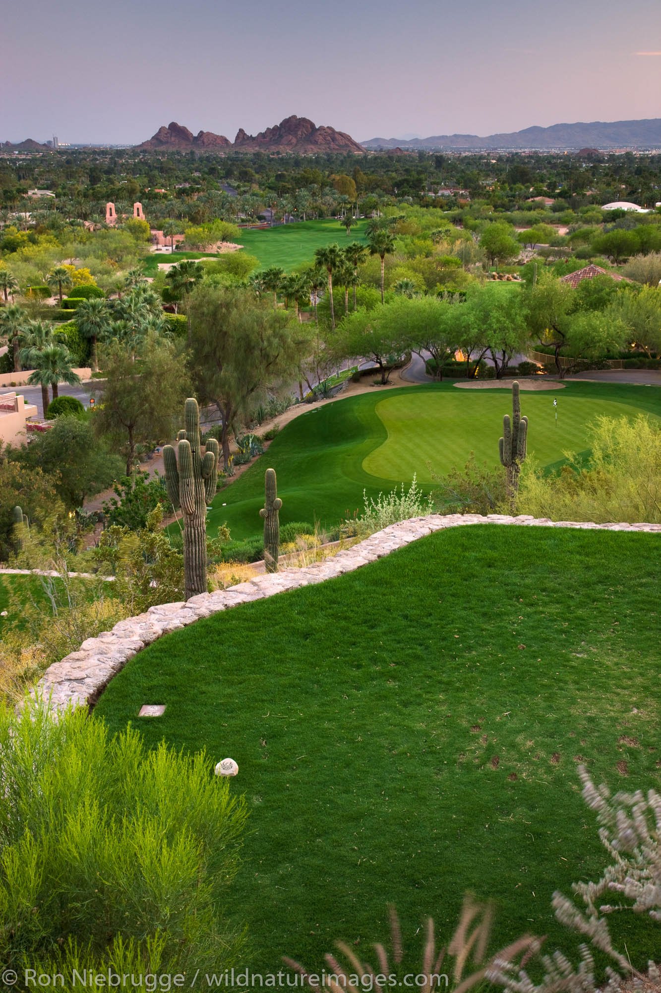Scottsdale, Arizona Photos by Ron Niebrugge