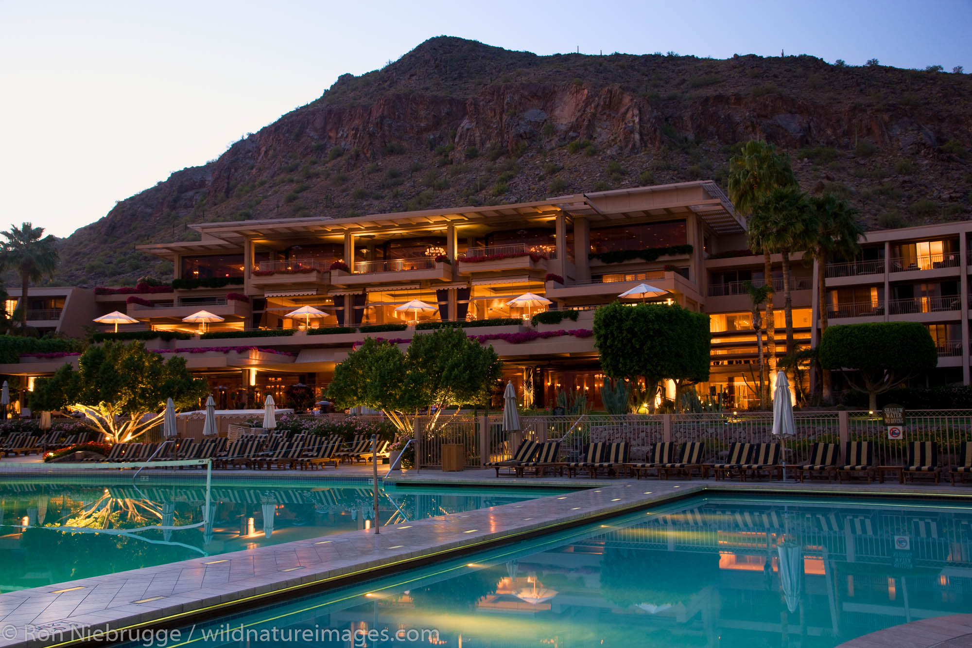 The swiming pools at the Phoenician Resort in Scottsdale, Arizona.