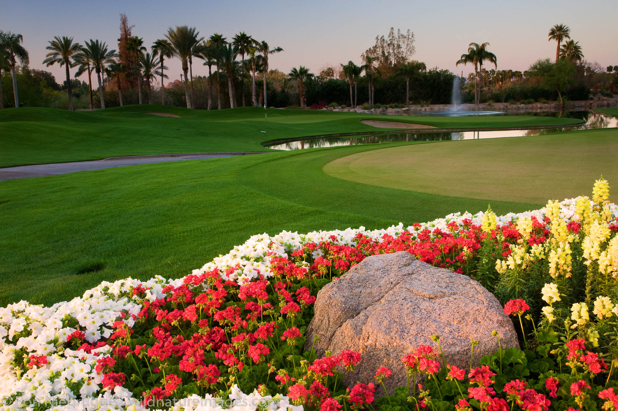 The putting green and the 9th hole of the Canyon Golf Course at the Phoenician Resort in Scottsdale, Arizona.