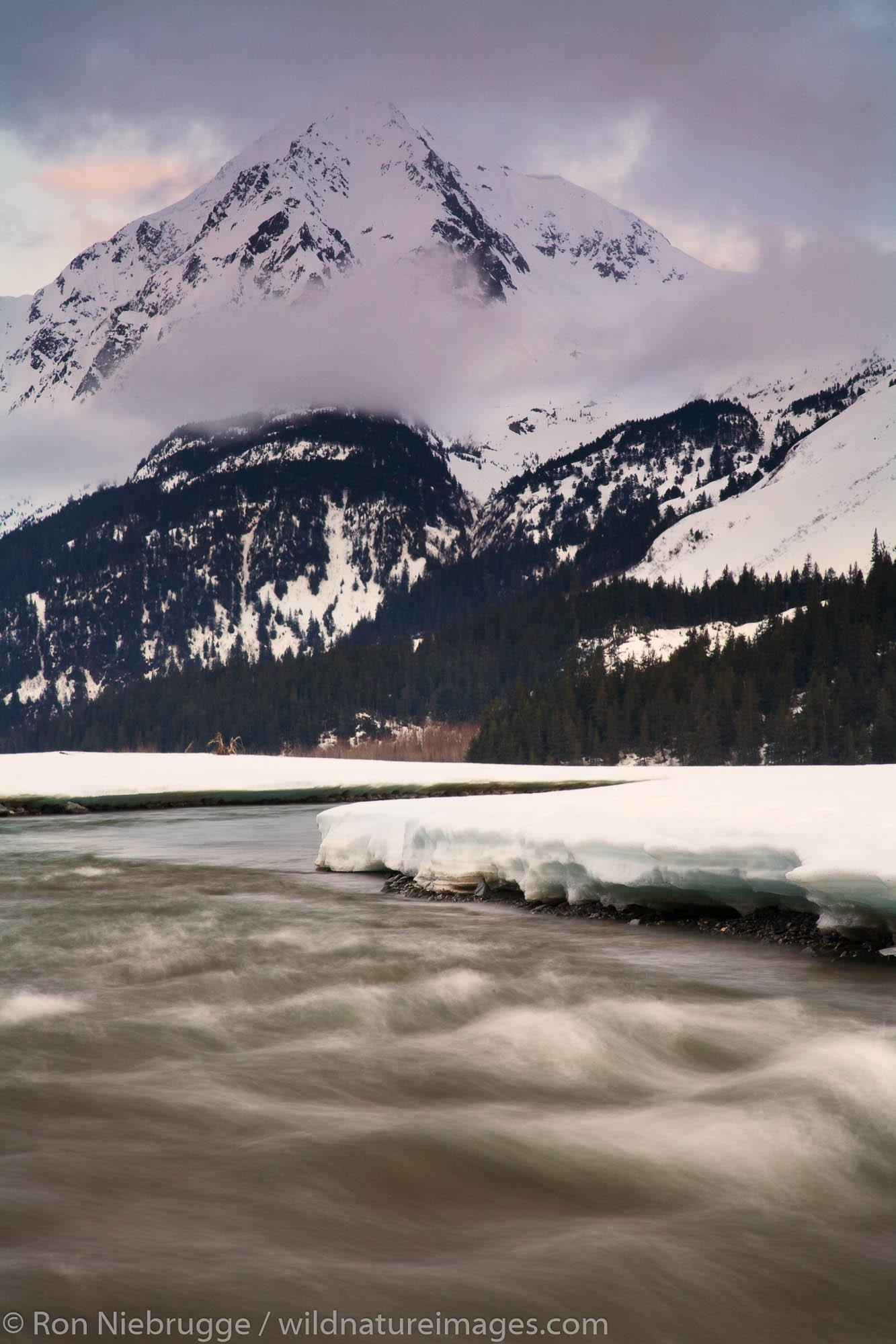 Resurrection River in the Chugach National Forest, near Seward, Alaska.