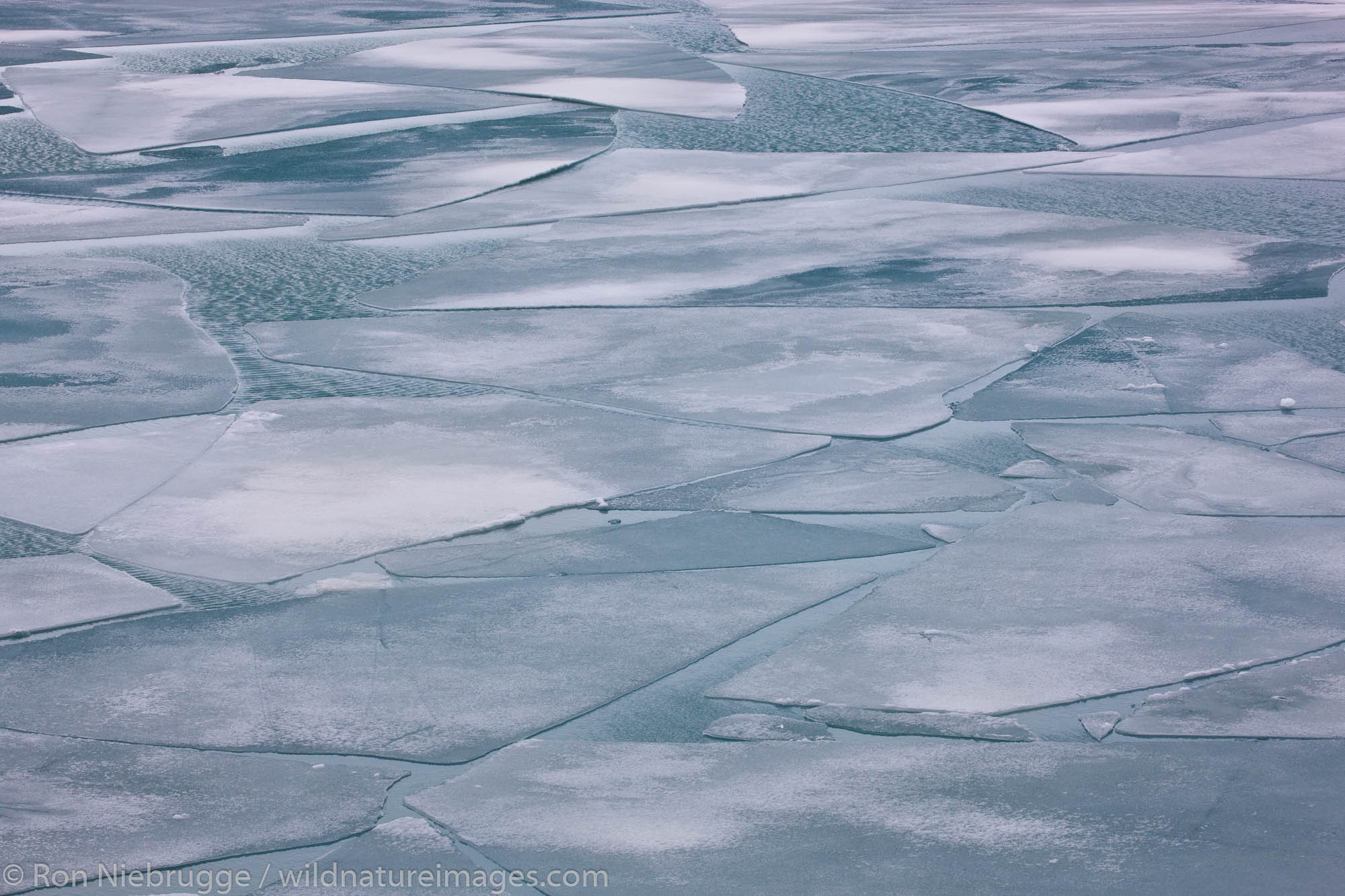 Ice on Portage Lake, Chugach National Forest, Alaska.