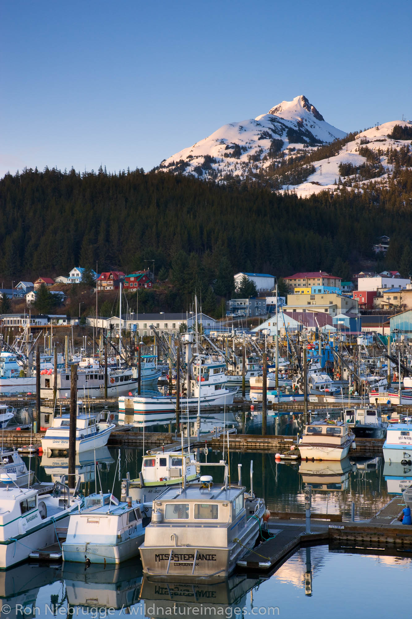 Boat Harbor, Cordova, Alaska.