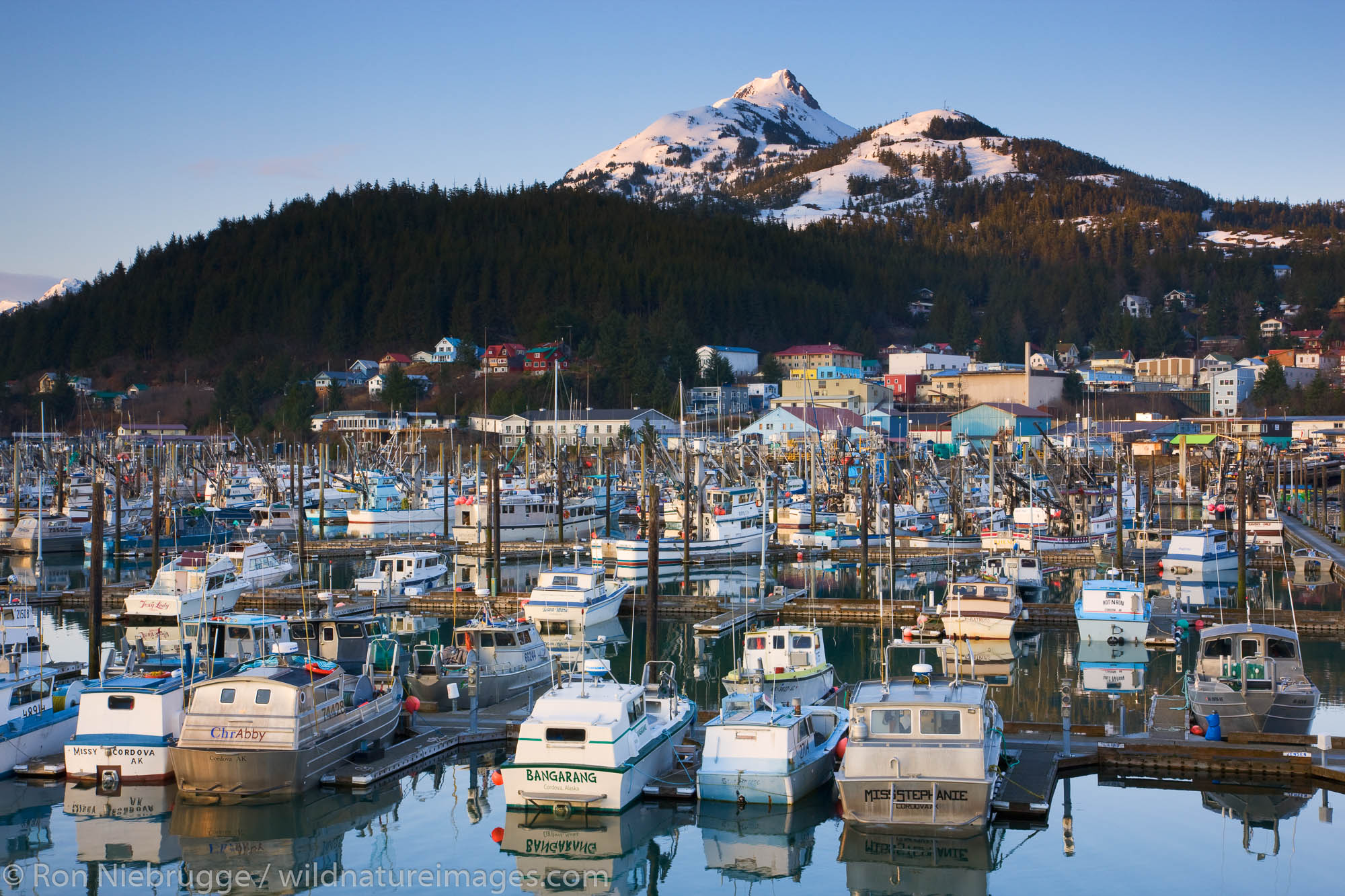 Boat Harbor, Cordova, Alaska.