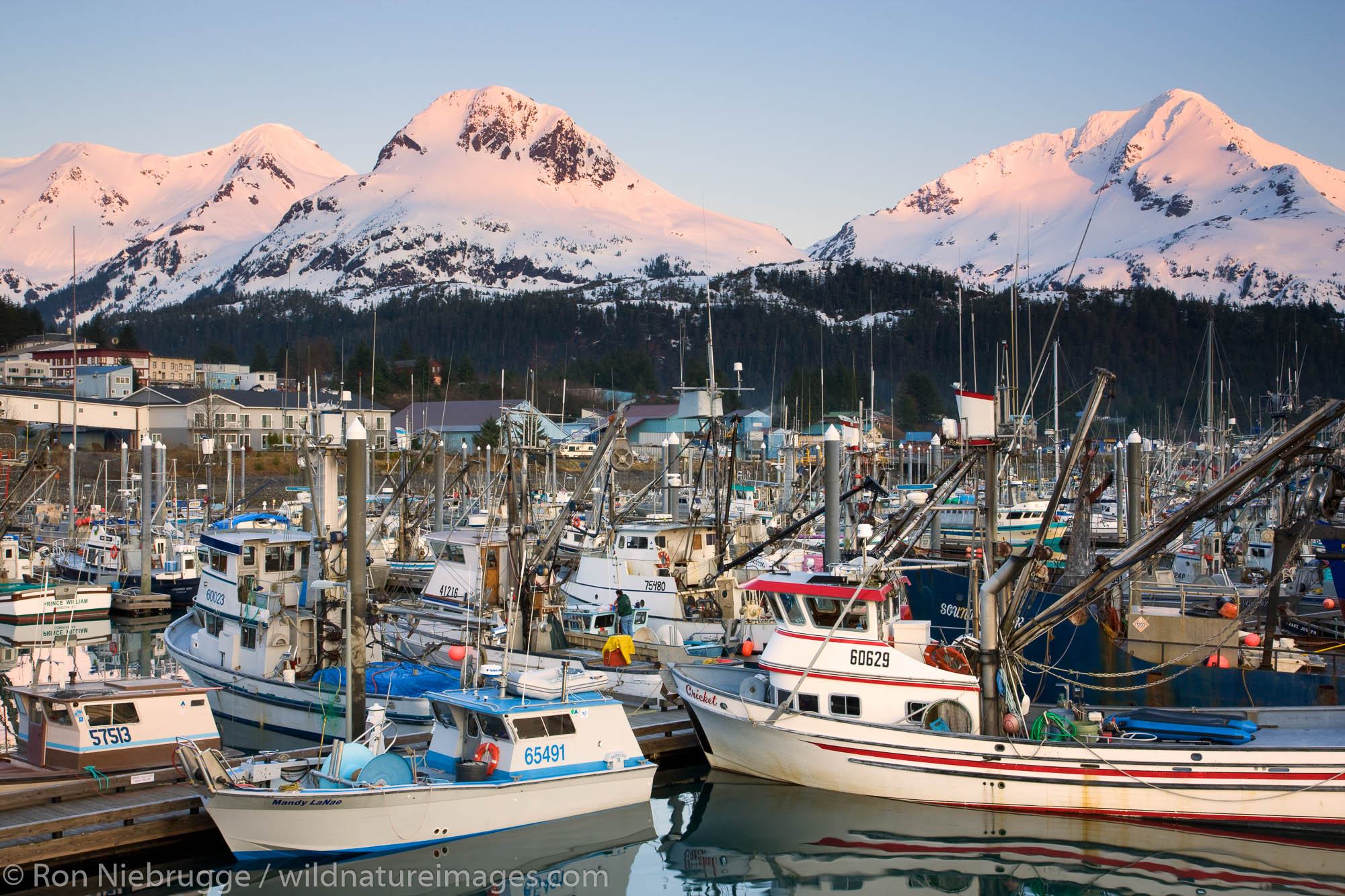 Boat Harbor, Cordova, Alaska.