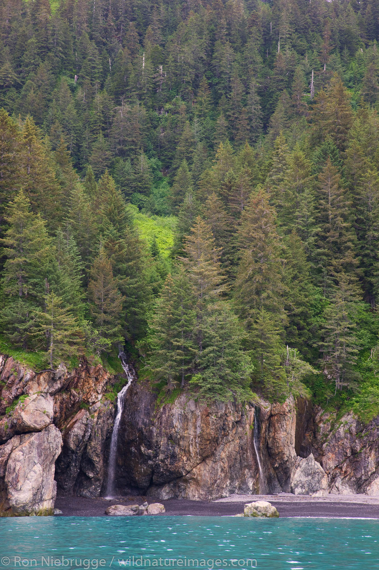 Coastline of Kenai Fjords National Park, Alaska.