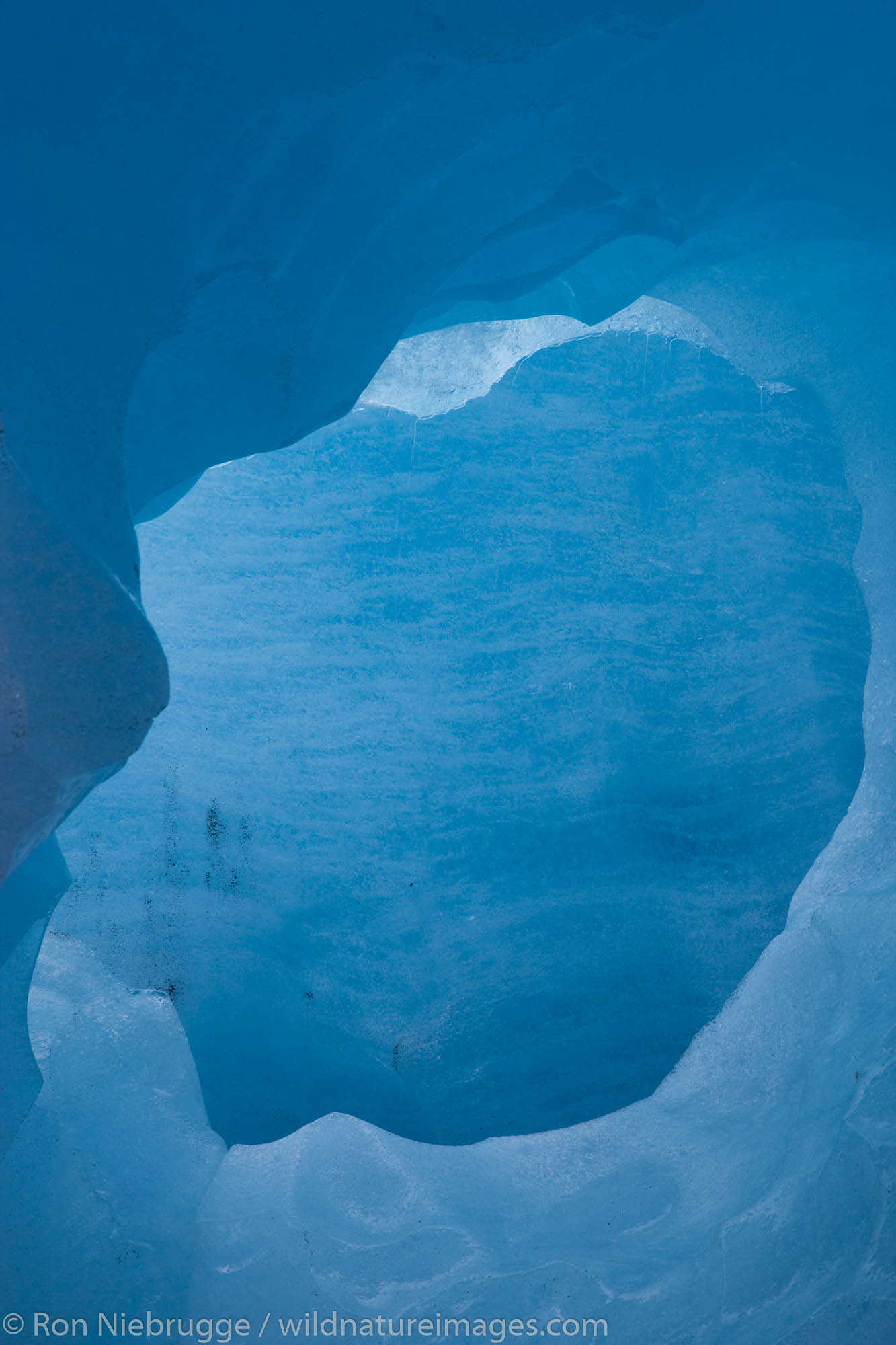 Exit Glacier, Kenai Fjords National Park, Alaska.