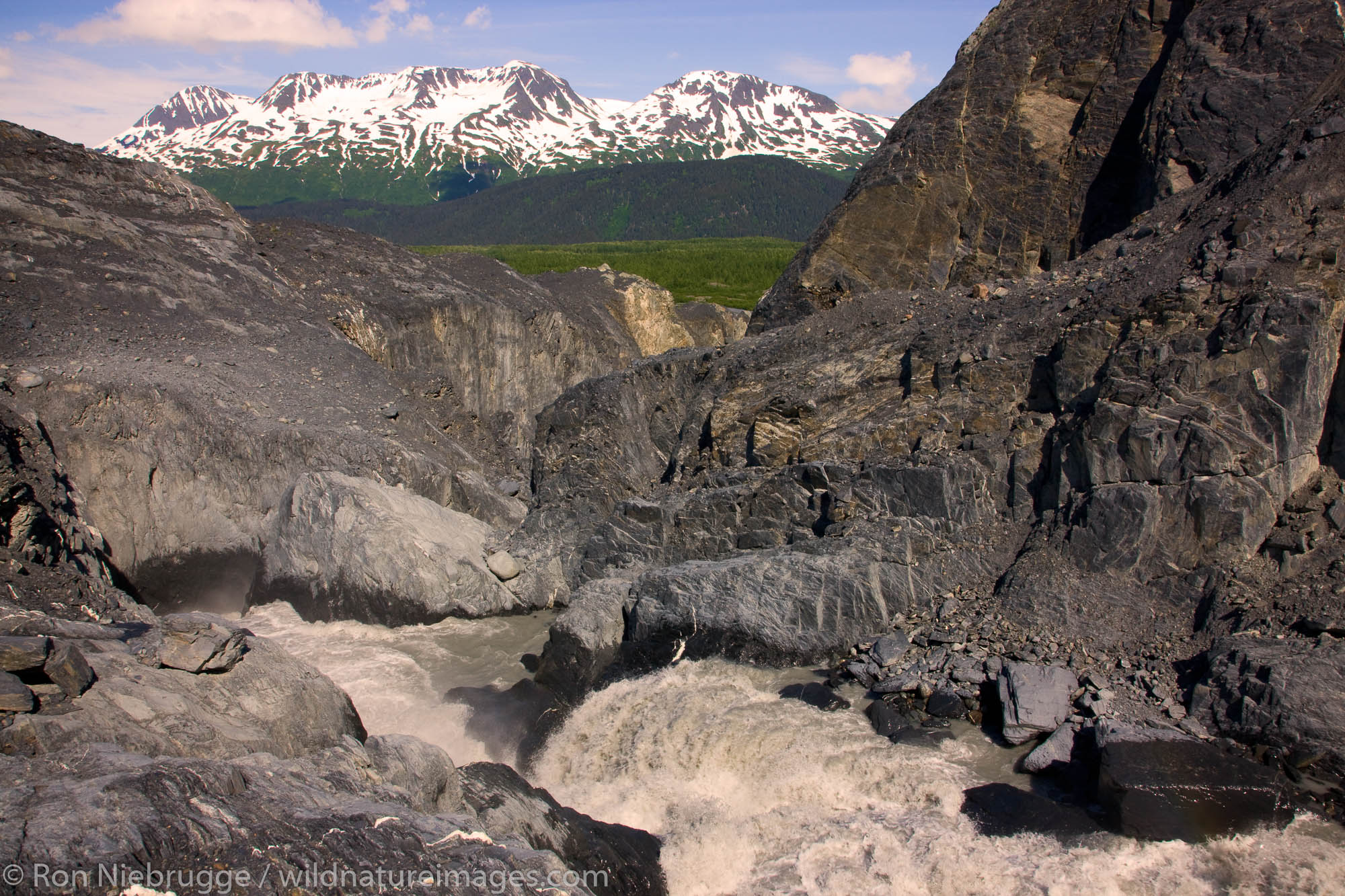 Exit Glacier