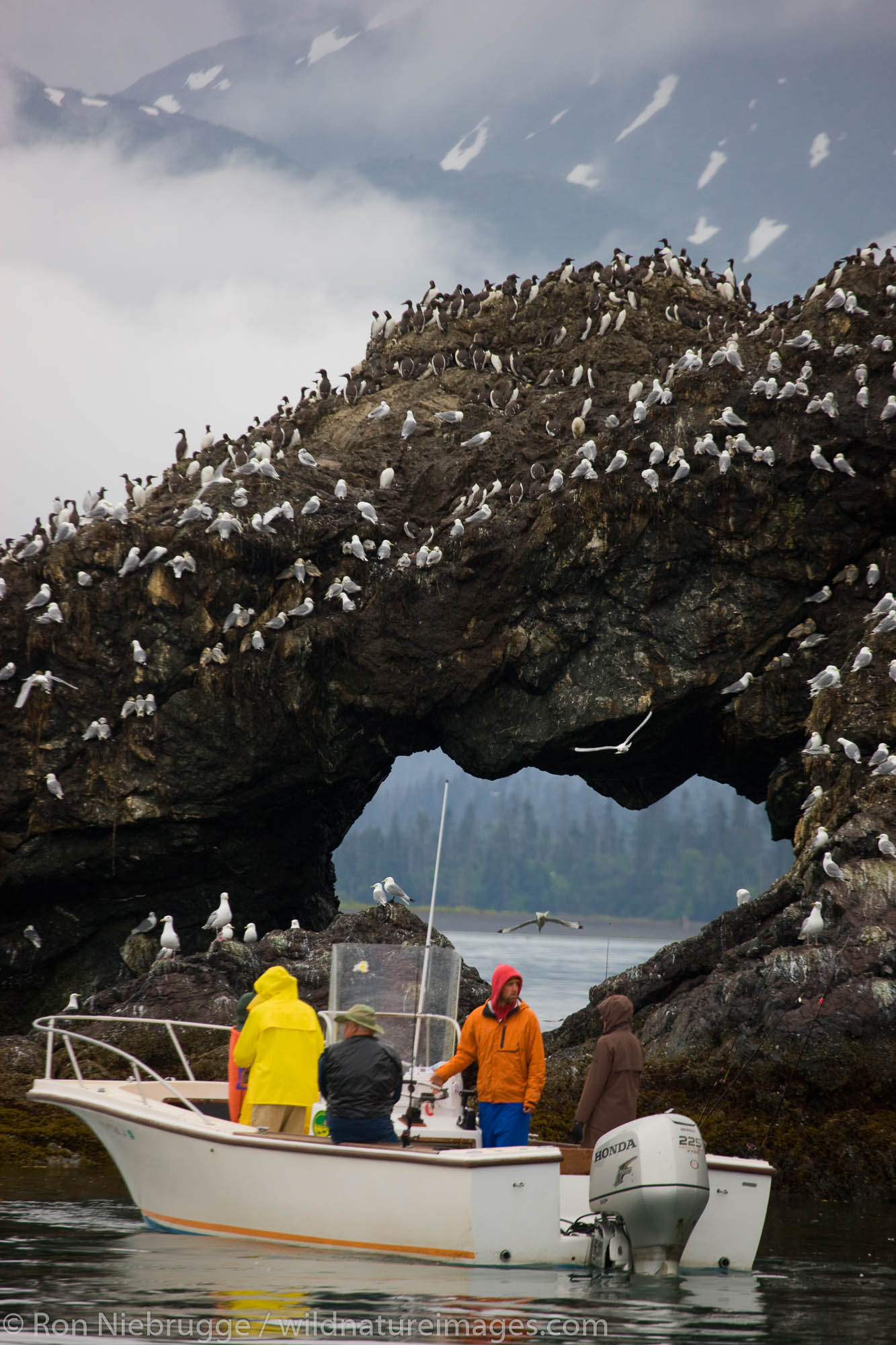 Passengers watching birds on Gull Island, Kachemak Bay near Homer, Alaska.