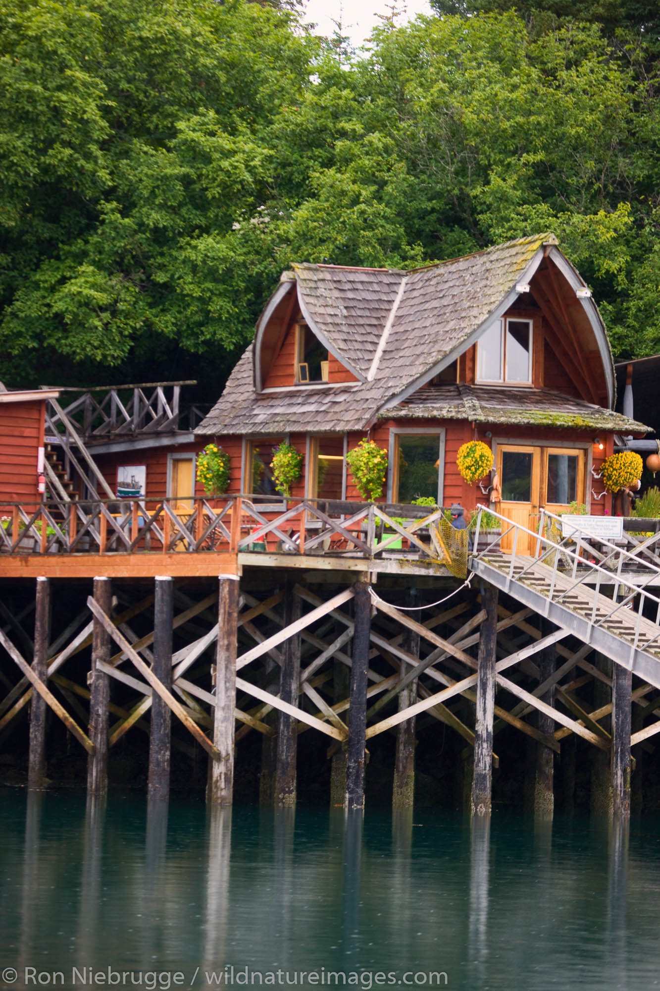 The famous Saltry Restaurant, Halibut Cove, Kachemak Bay near Homer, Alaska.