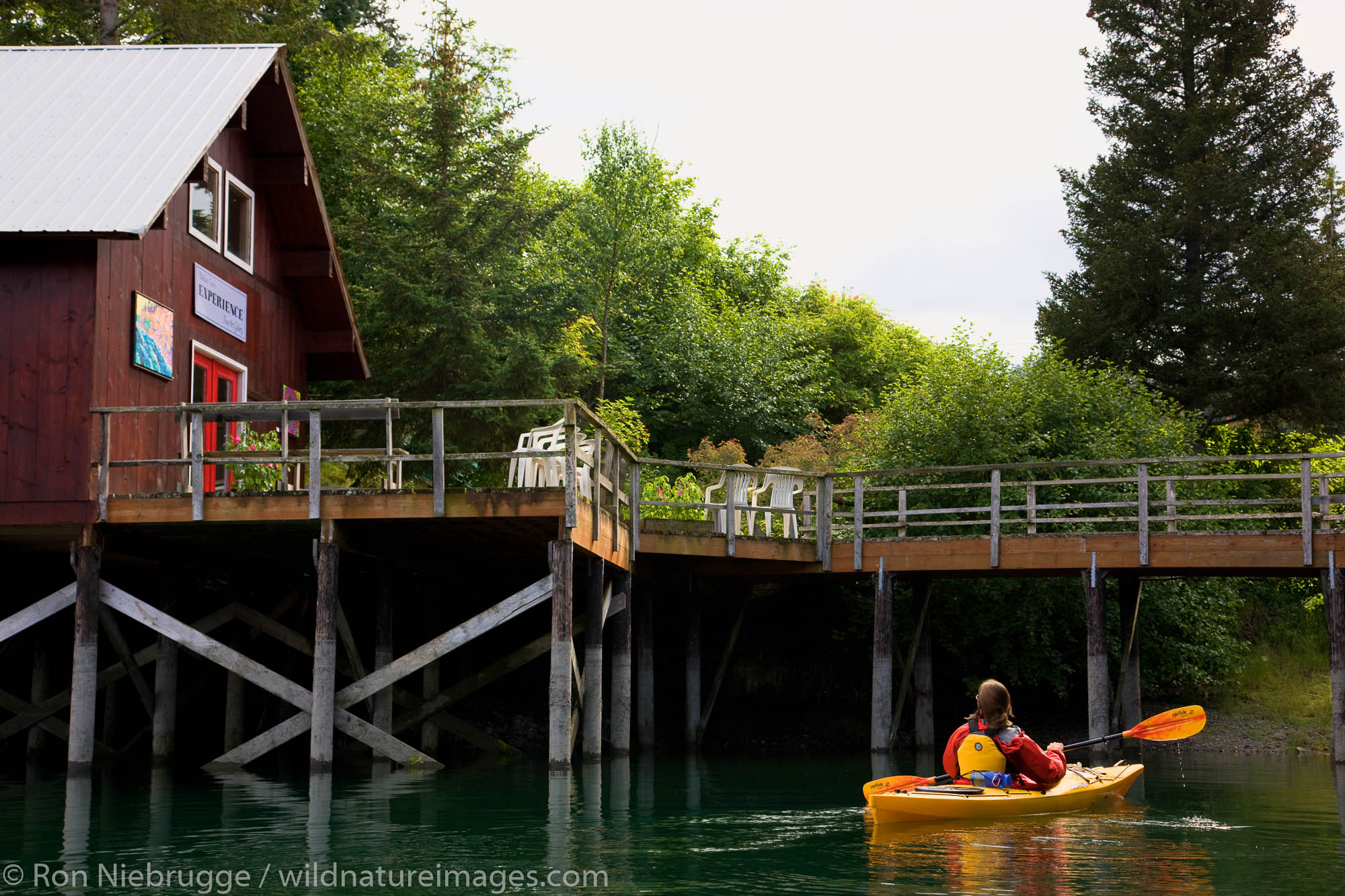 Kayaking in front of the Experience Art Gallery, Halibut Cove, Kachemak Bay near Homer, Alaska.  (model released)