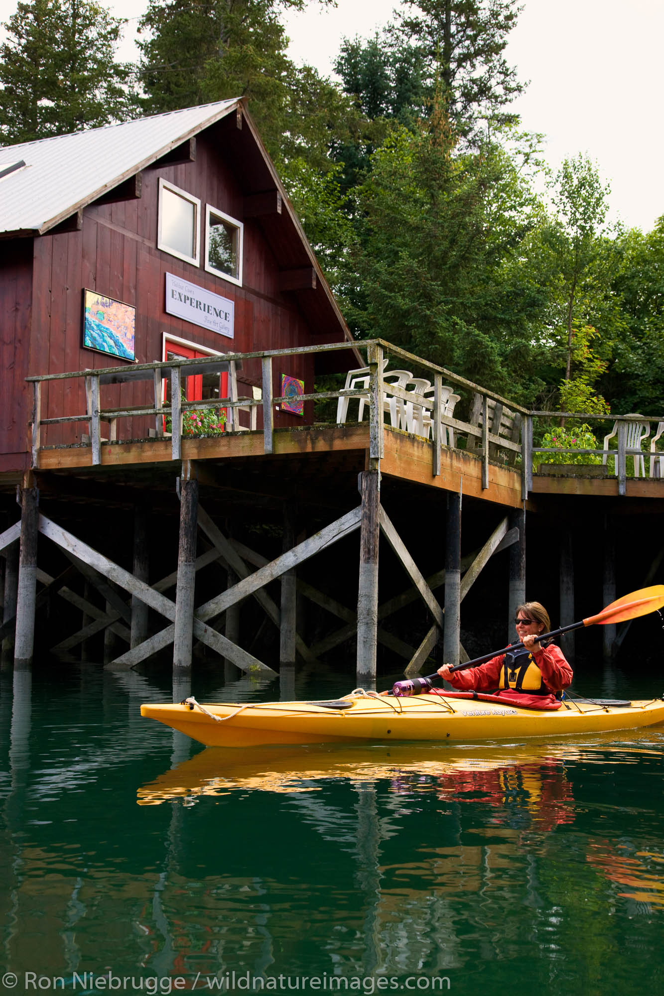 Kayaking in front of the Experience Art Gallery, Halibut Cove, Kachemak Bay near Homer, Alaska.  (model released)