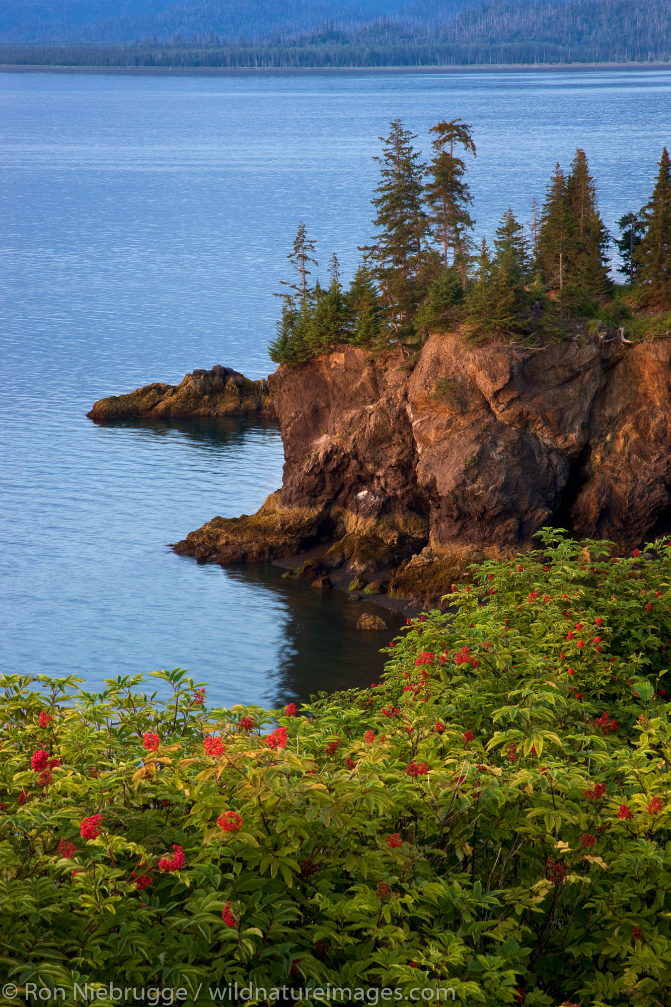 Halibut Cove, Kachemak Bay near Homer, Alaska.