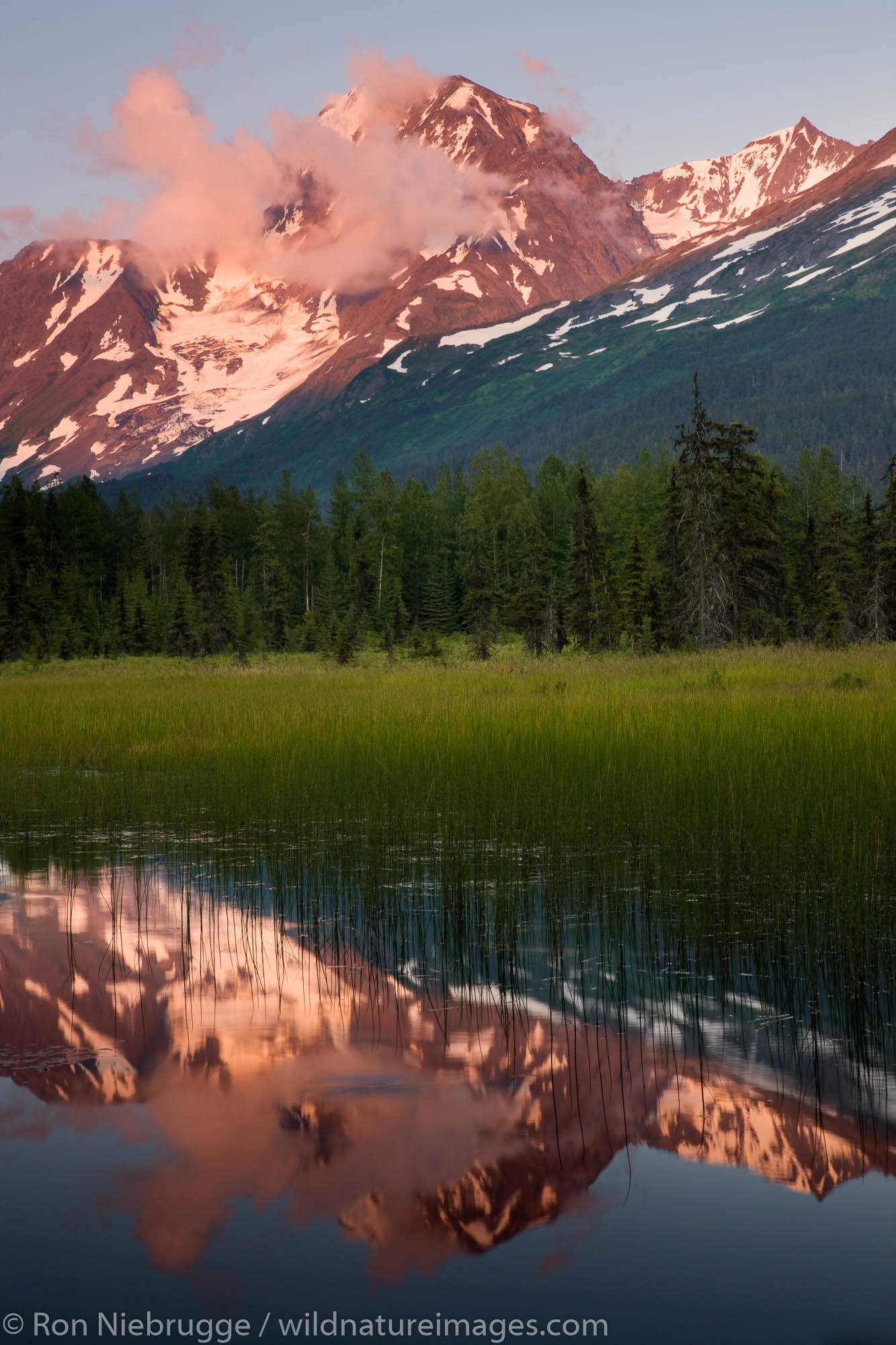 Chugach National Forest, near Seward, Alaska.