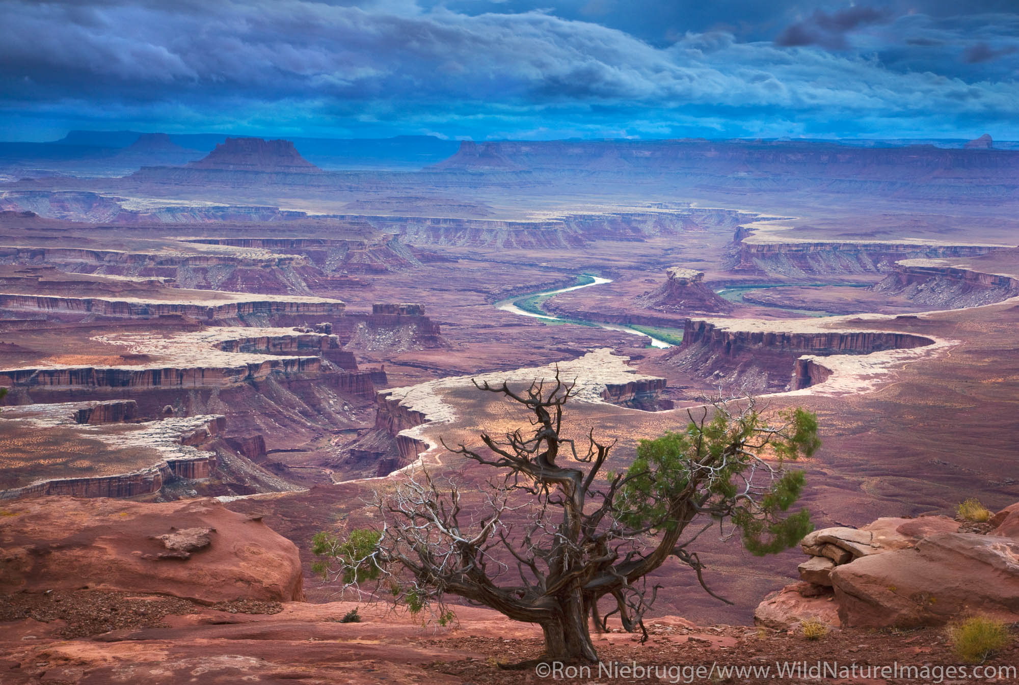 Green River Overlook, Island in the Sky District, Canyonlands National Park, near Moab, Utah.