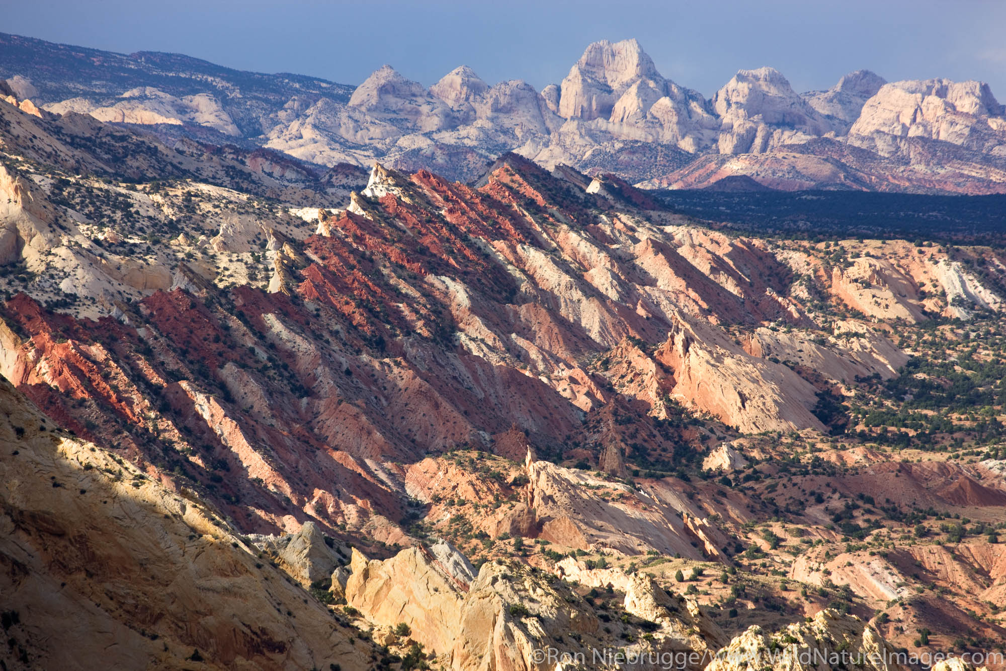 The Waterpocket Fold, Capitol Reef National Park, Utah.