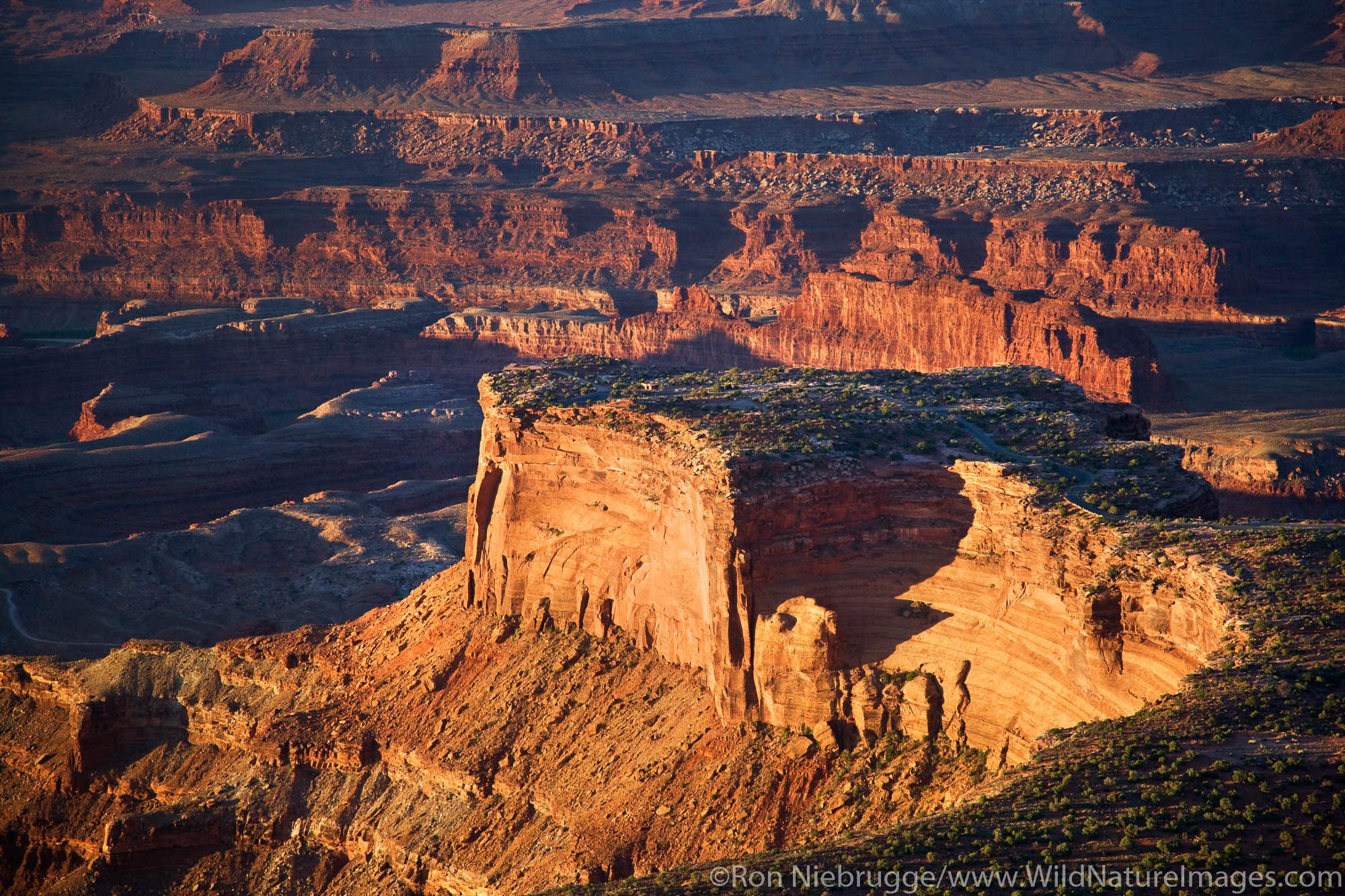 Dead Horse Point State Park and Island in the Sky District, Canyonlands National Park, near Moab, Utah.