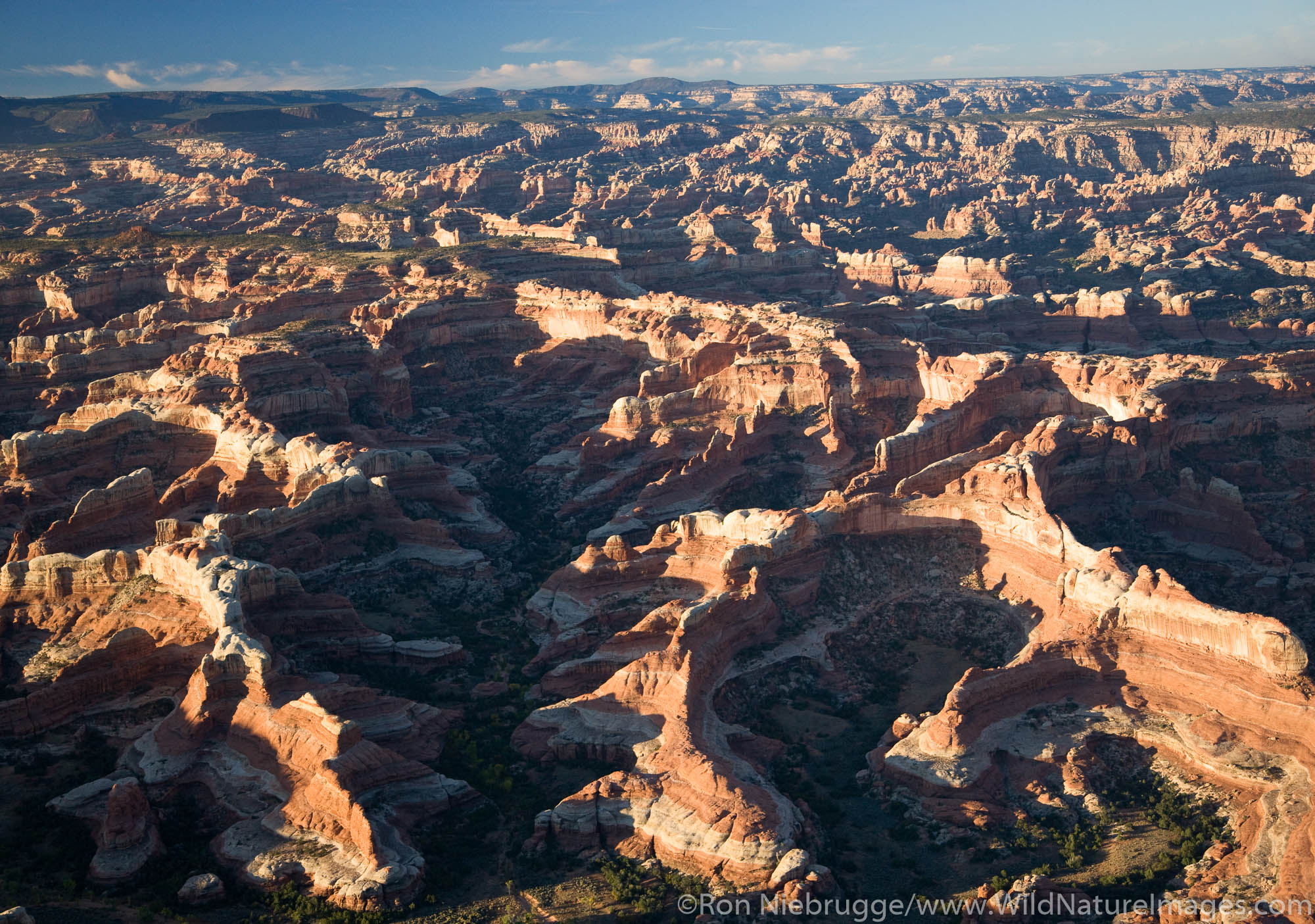 The Needles District, Canyonlands National Park, near Moab, Utah.