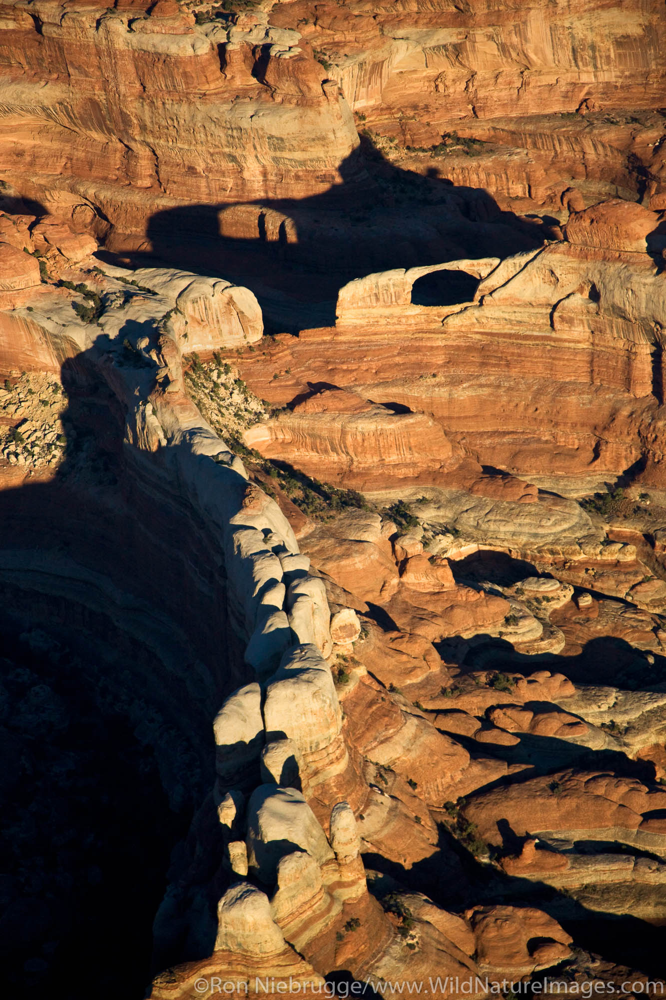 Castle Arch, The Needles District, Canyonlands National Park, near Moab, Utah.