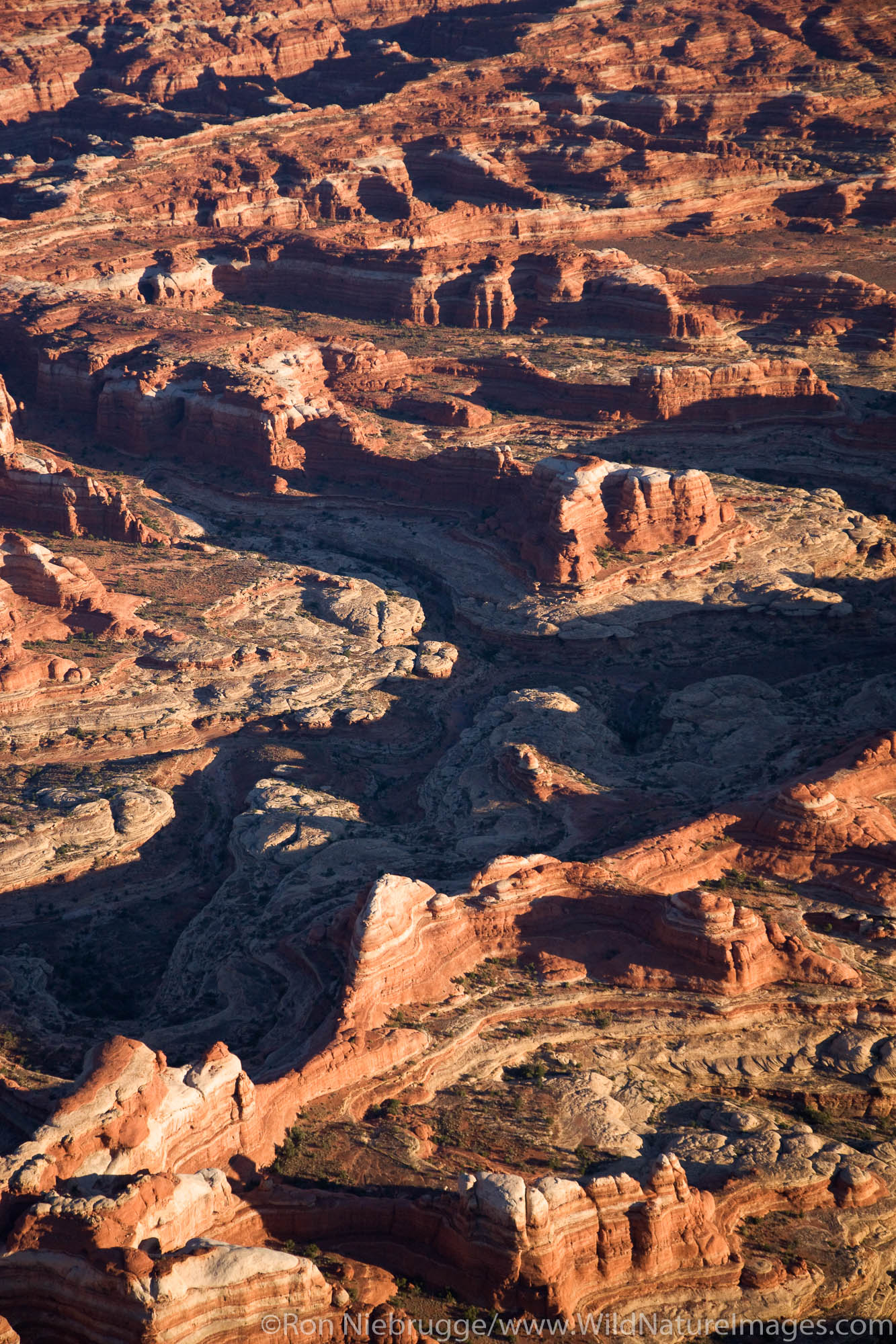 The Maze District, Canyonlands National Park, near Moab, Utah.