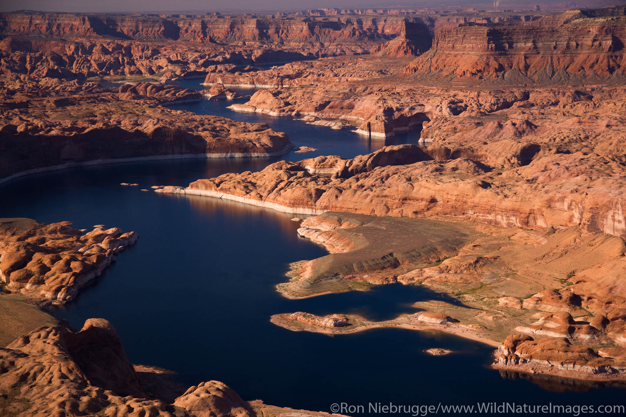 Aerial Lake Powell | Photos by Ron Niebrugge
