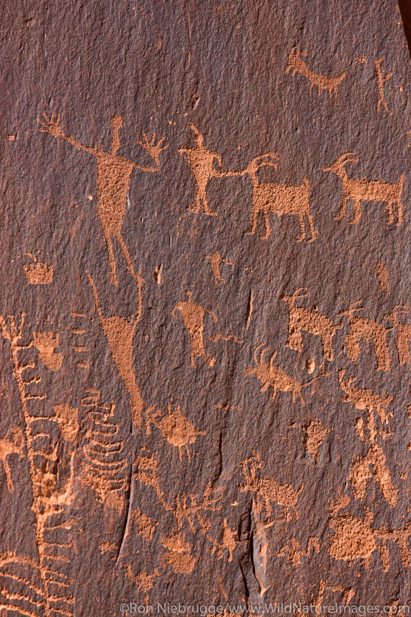 Native American rock art near Moab, Utah.