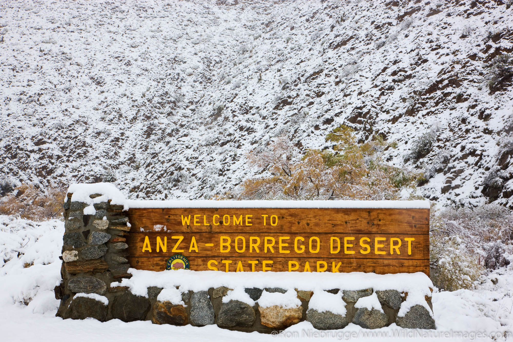 Snow in Anza-Borrego Desert State Park, California.
