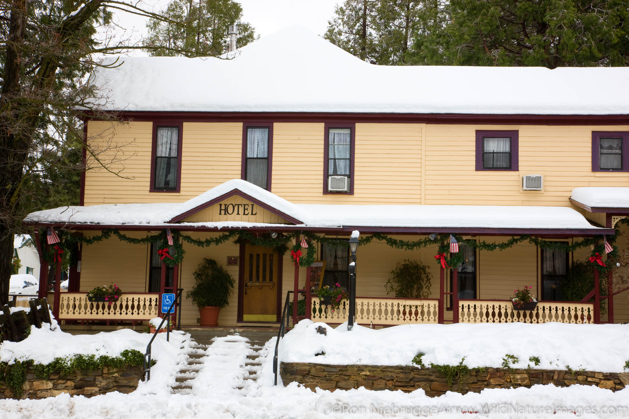 Winter snow in Julian, California.