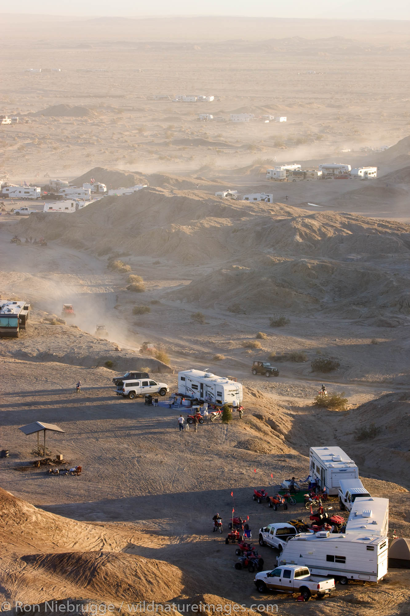 Ocotillo Wells Photos by Ron Niebrugge