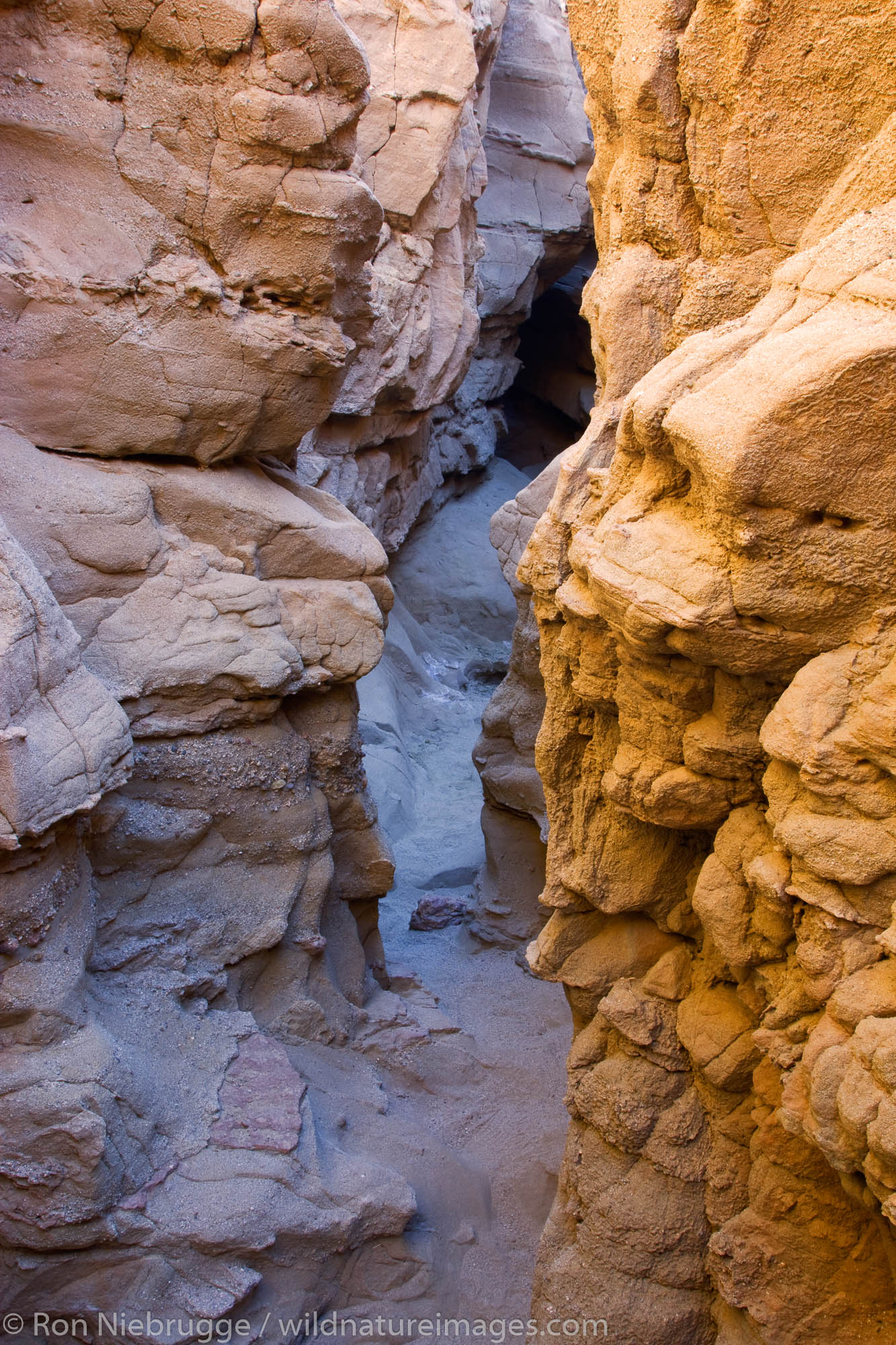A slot canyon in Anza-Borrego Desert State Park, California.