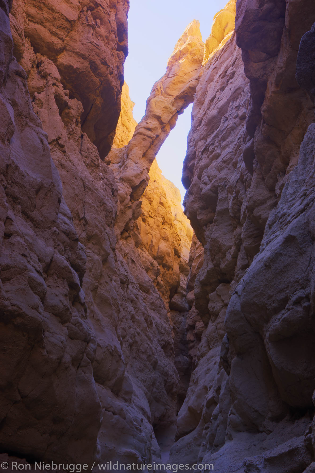 A slot canyon in Anza-Borrego Desert State Park, California.