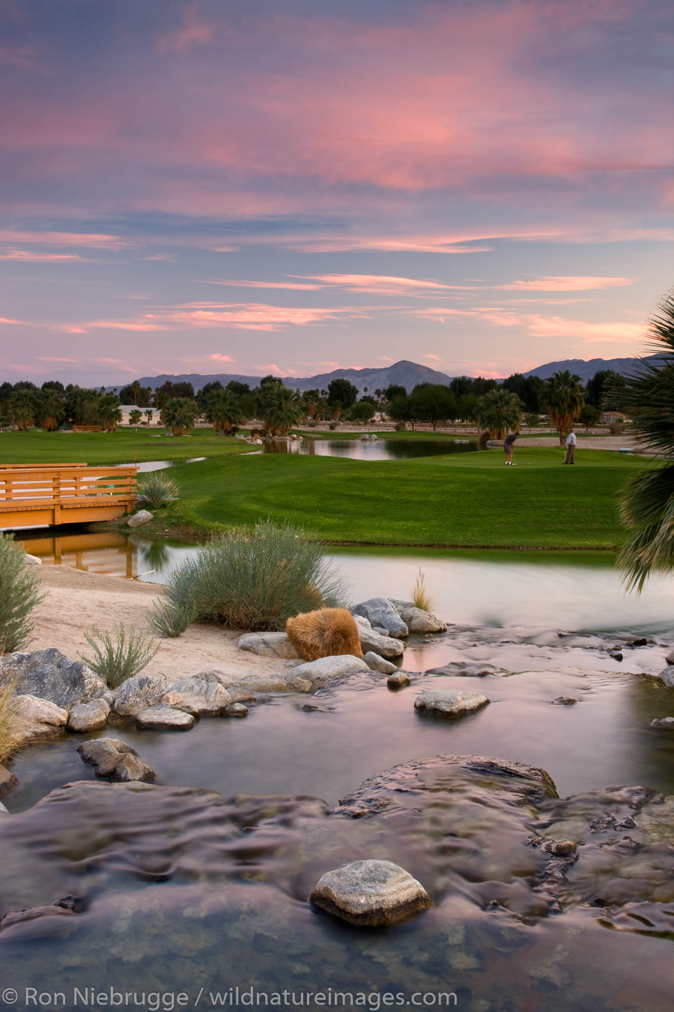 The golf course at the Springs at Borrego, Borrego Springs,  California.
