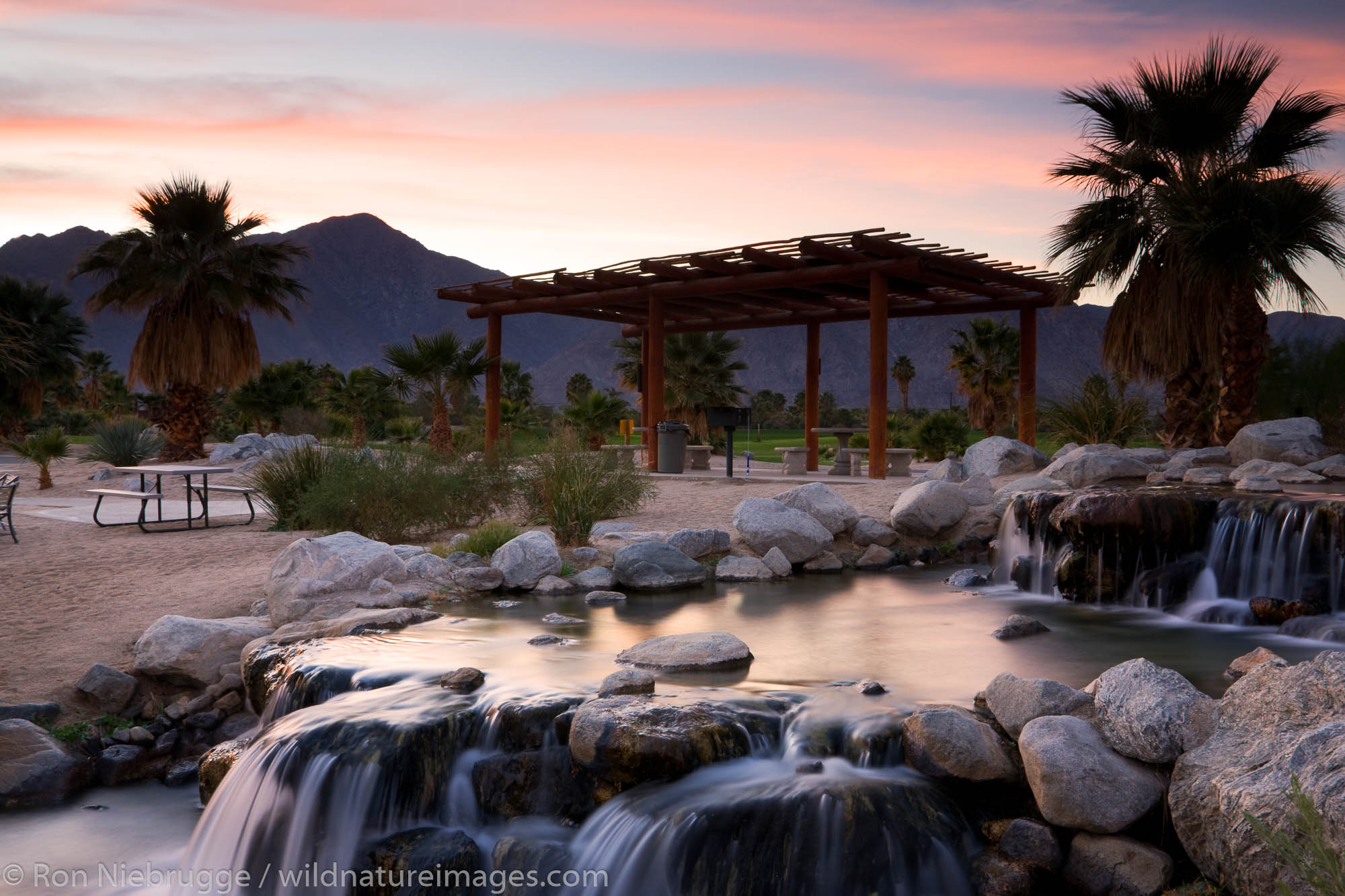Borrego Springs, California Photos by Ron Niebrugge