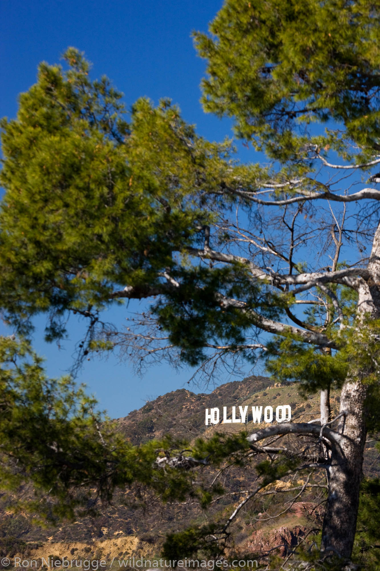The Hollywood sign from Griffith Observatory, Los Angeles, California.