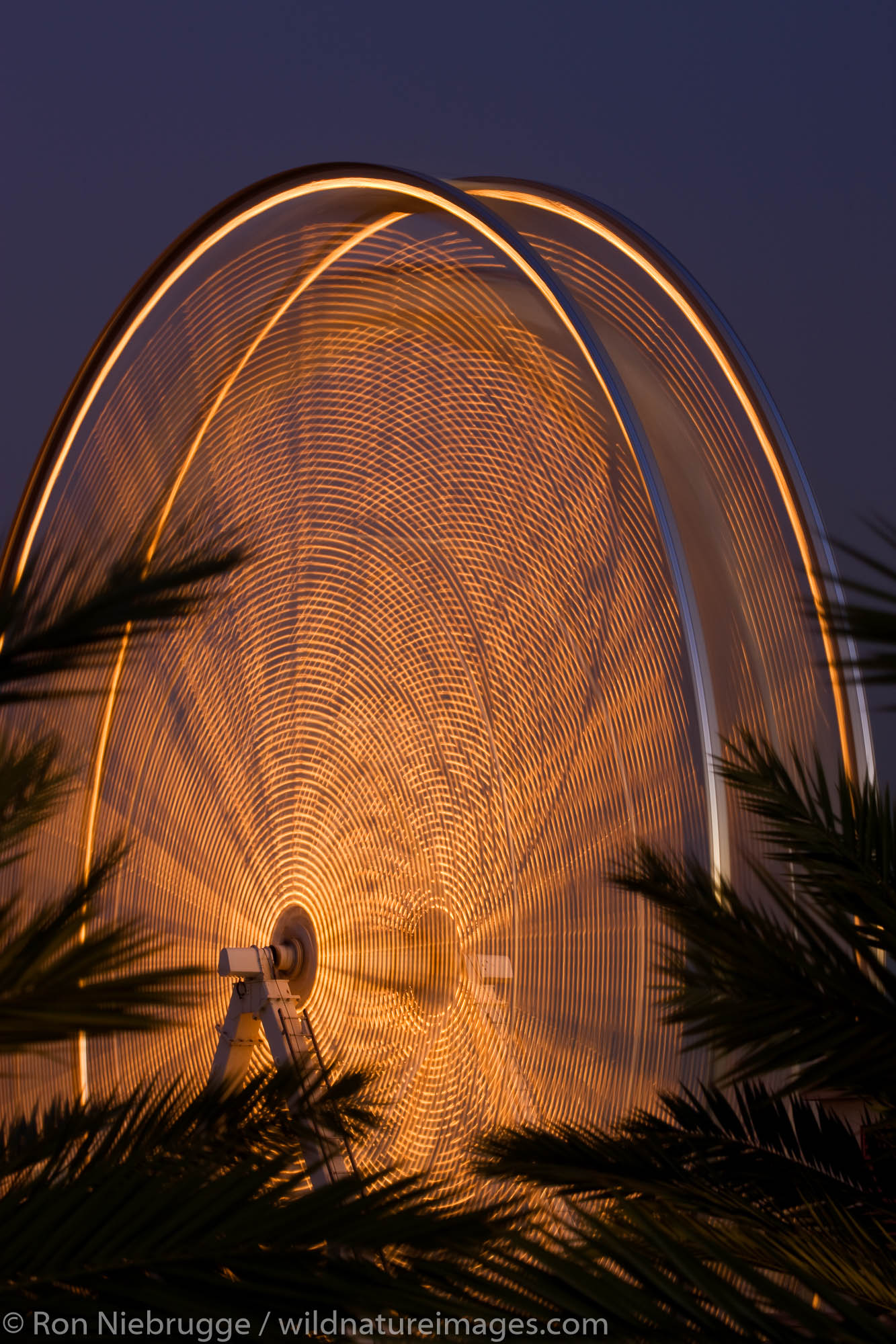 Ferris Wheel at The Pike, Waterfront Center, Long Beach, California.