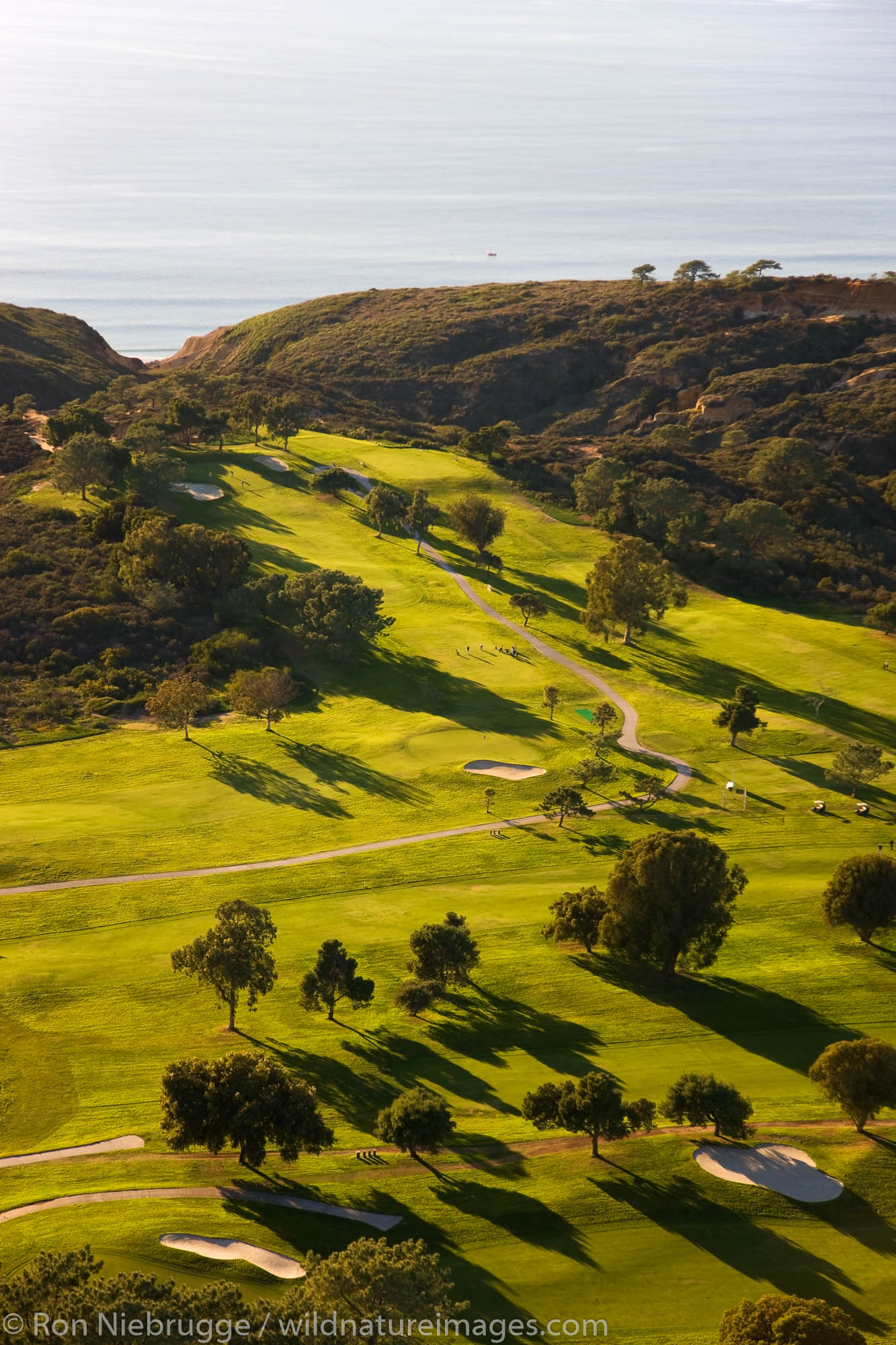 Torrey Pines Golf Course Photos by Ron Niebrugge Torrey Pines Golf Course Photos by Ron Niebrugge