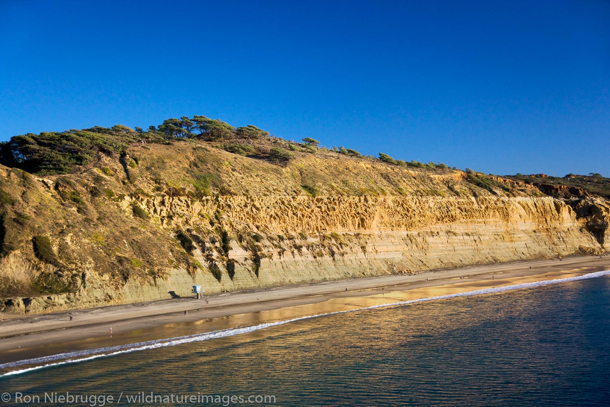 Torrey Pines State Preserve, San Diego County, La Jolla, California.
