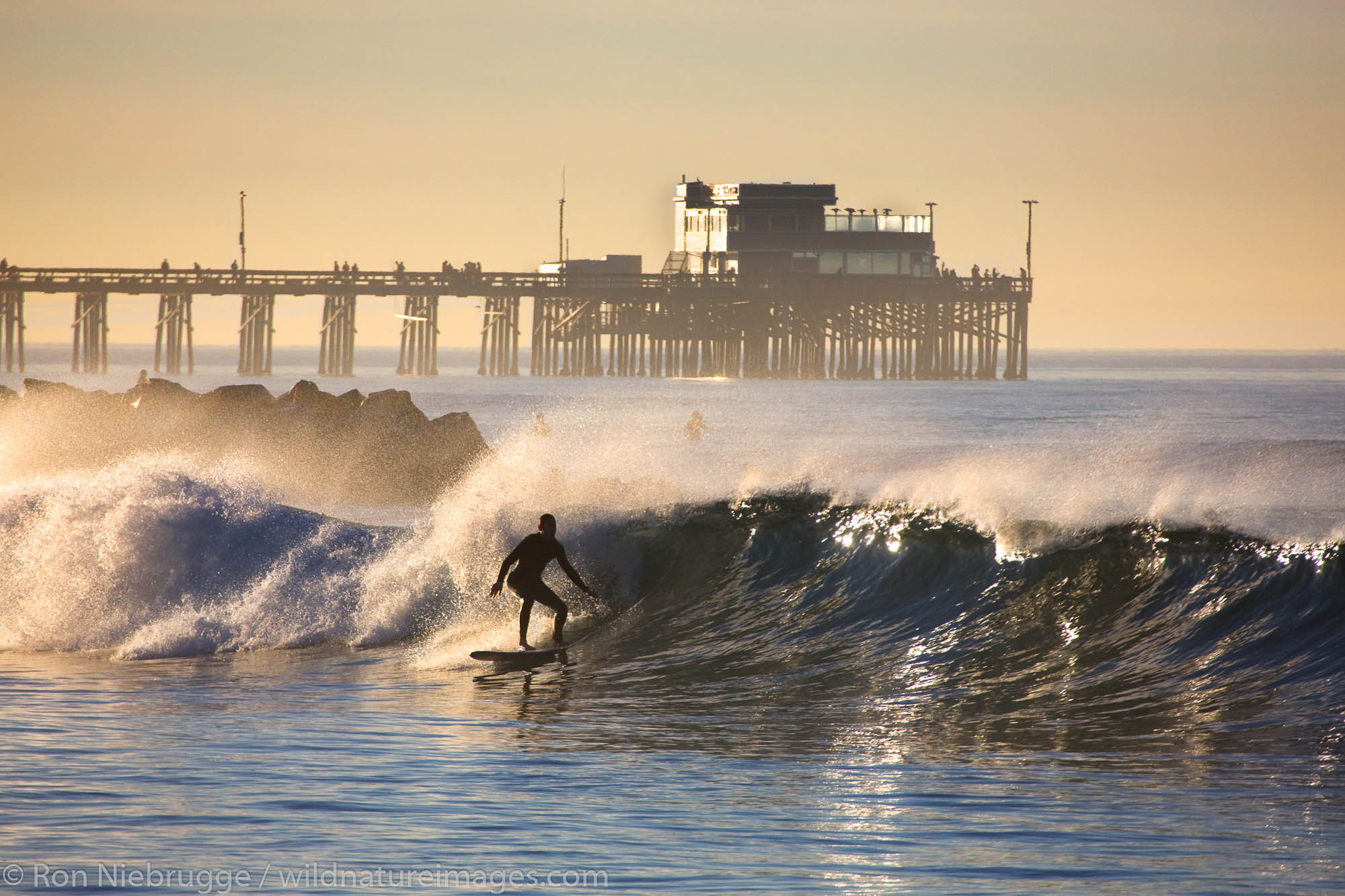 Surfing Newport Beach with the Newport Pier in the background, Orange County, California.
